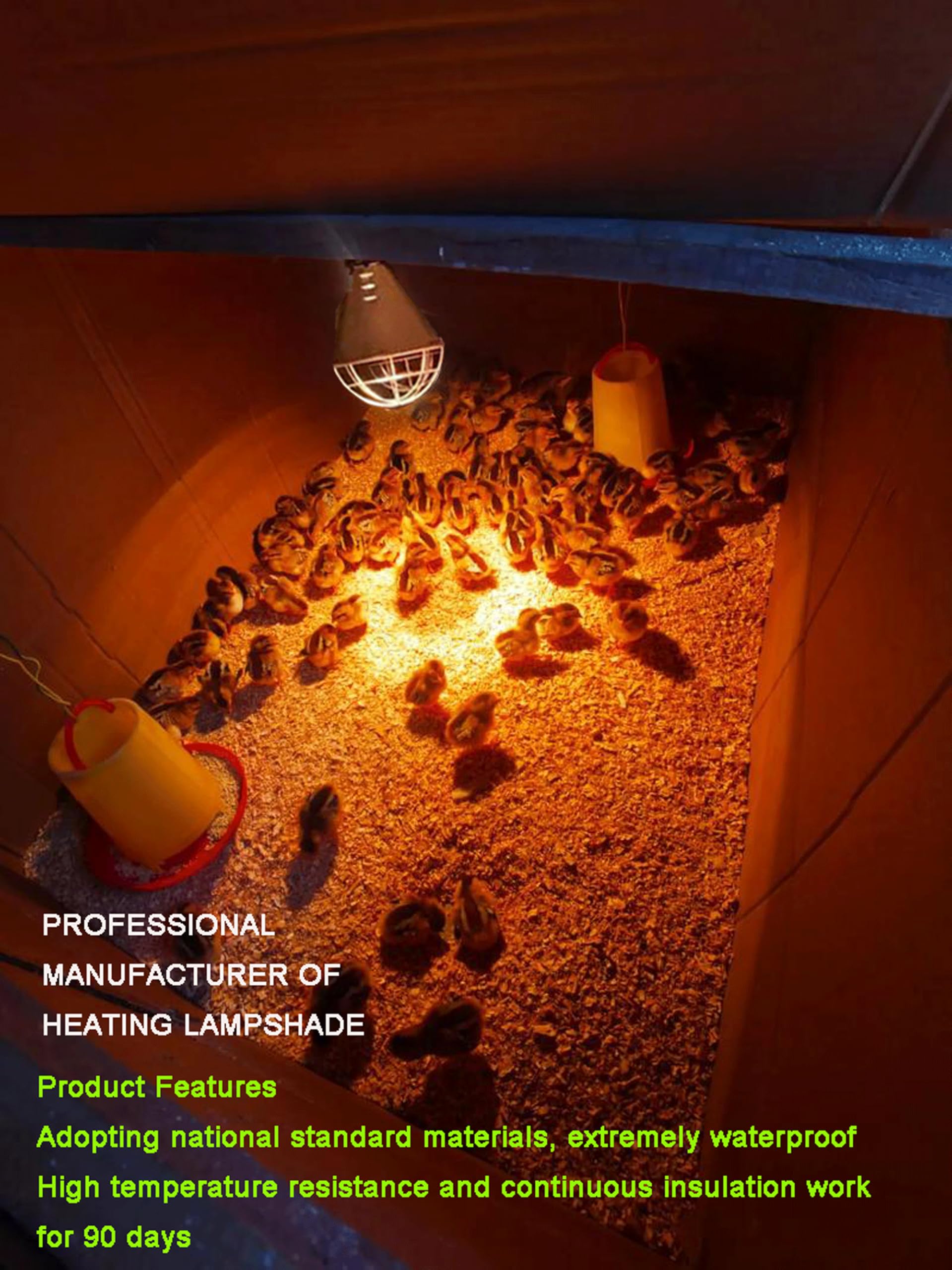 Lampada Riscaldante a Infrarossi 250W per Pollame, con 2,5m Filo Elettrico e 2m Catena Sospensione, 2 Temperature Eco (Alta/Bassa), Ideale per Galline, Anatre, Cuccioli di Cane e Maiale