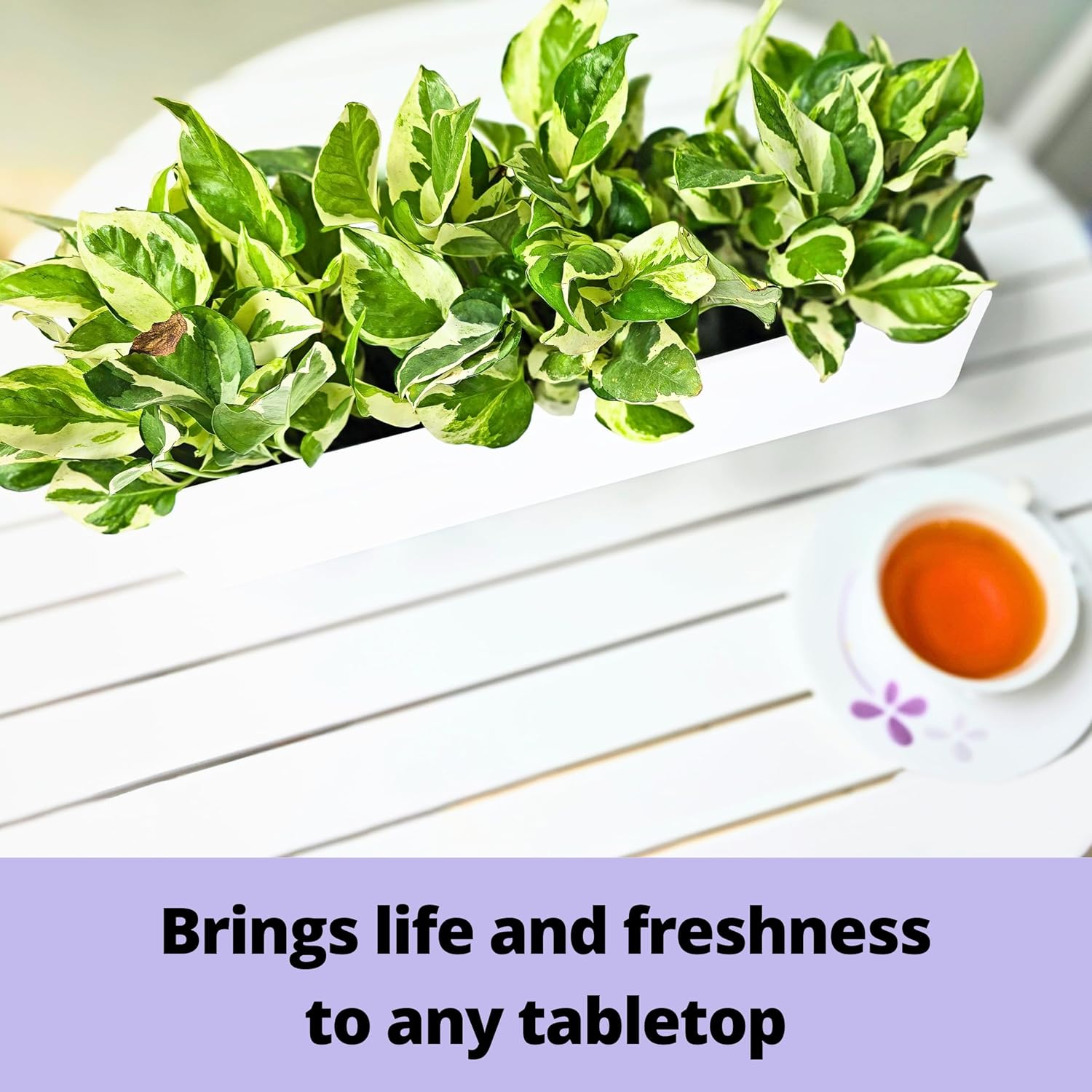 LaLaGreen Bundle- 2 Pack, 16 Inch Rectangular Metal Pot + 16 Inch Three Tier Hanging Planter Vertical Floating Large Shelf Indoor Outdoor Window Boxes Modern Boho Style Plant Holder Wall Mount Decor