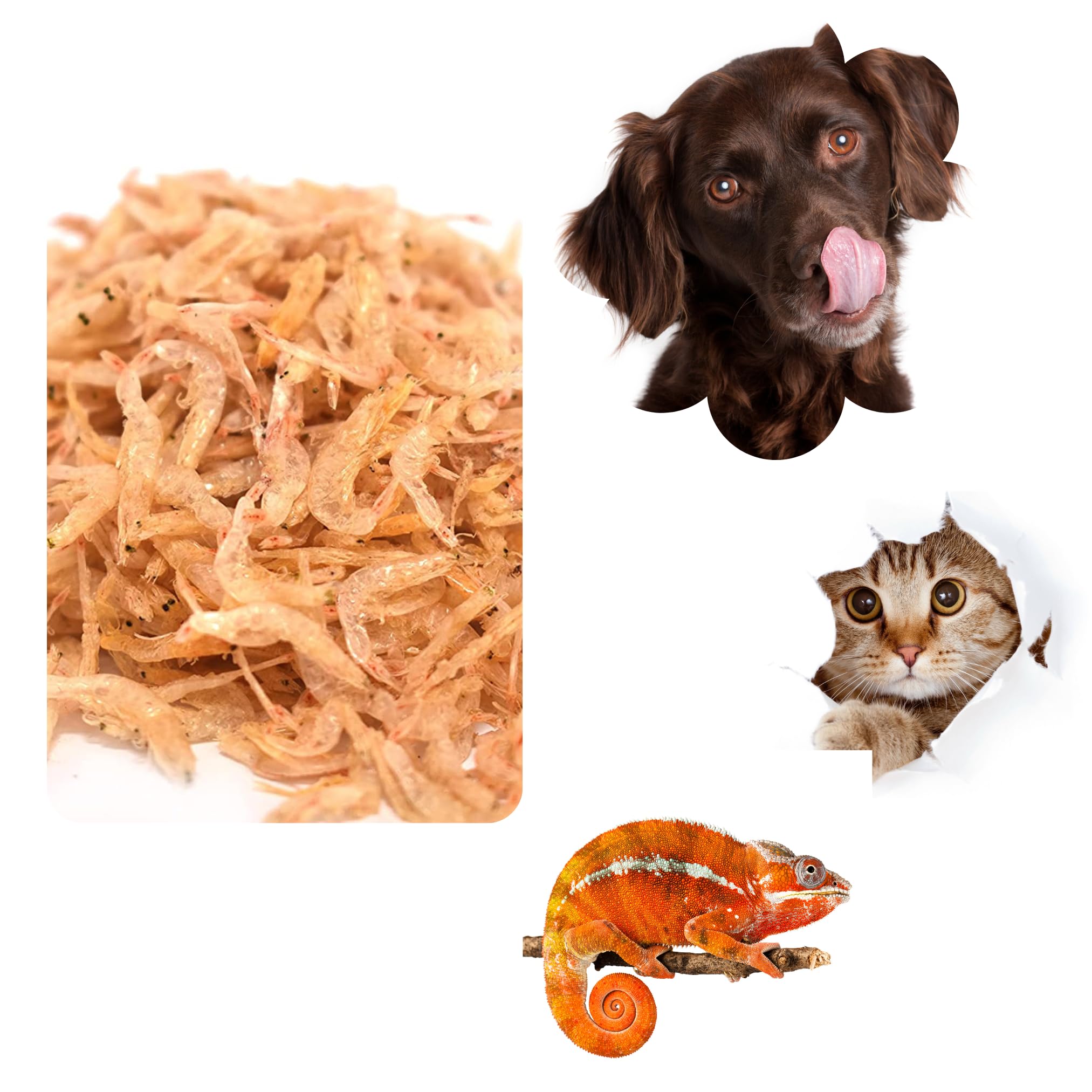 See full amazon price history chart for Krill Kickers - Combo of Dry Tiny Shrimps (200g x 2)- Pack of 2 - Sun Dried Pet Food - Fish, Cats, Dogs, Turtles Krill Kickers - Combo of Dry Tiny Shrimps (200g x 2)- Pack of 2 - Sun Dried Pet Food - Fish, Cats, Dogs, Turtles (B0D4HCZMXC) Amazon Price History, Amazon Price Tracker