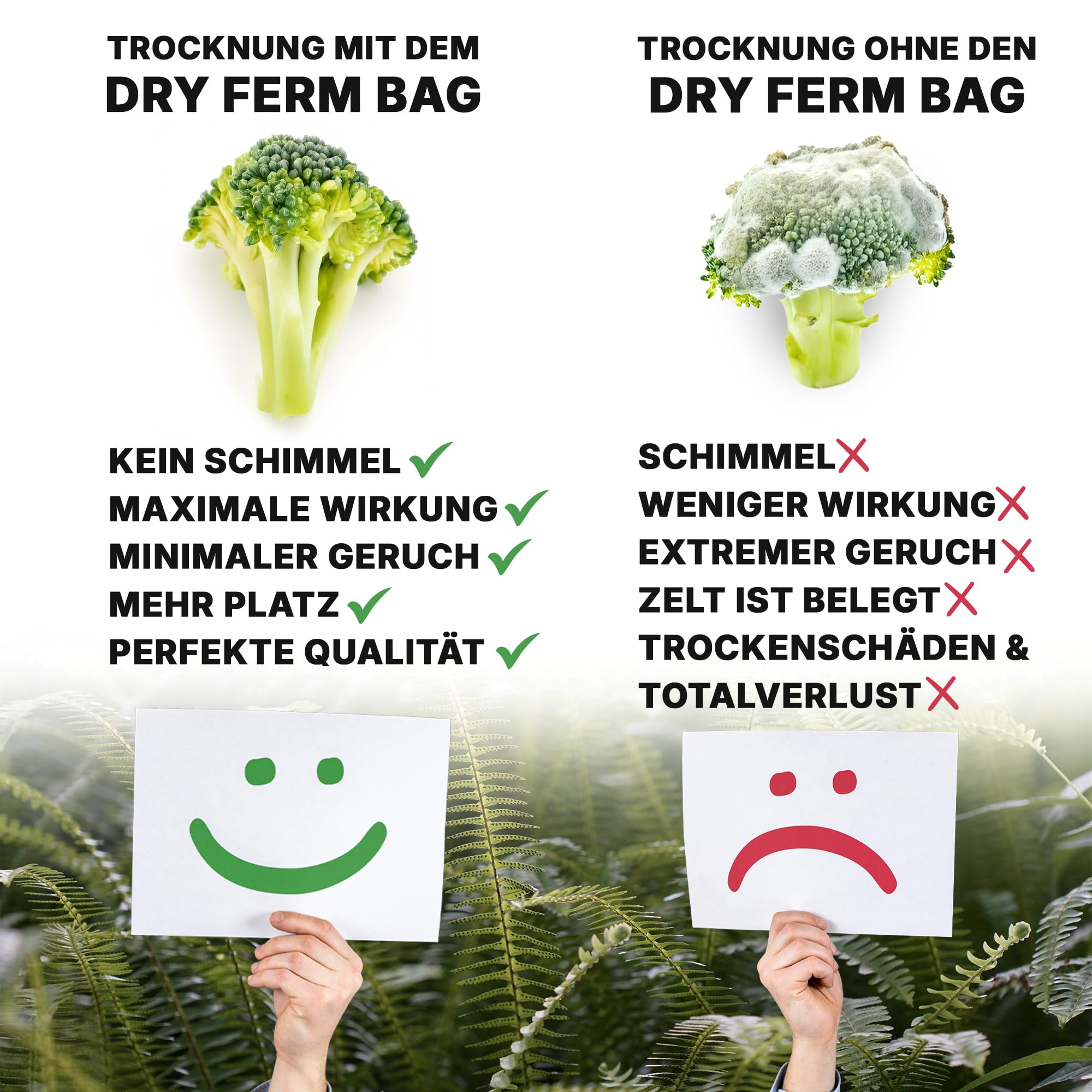 Dschinni DryFerm Curing Bags Lot de 3 sacs de séchage (30 x 50 cm) avec film Weedmaster – 55 % RLF pour herbes et fleurs, protection contre l'oxydation | Sacs étanches de qualité supérieure avec film de protection UV