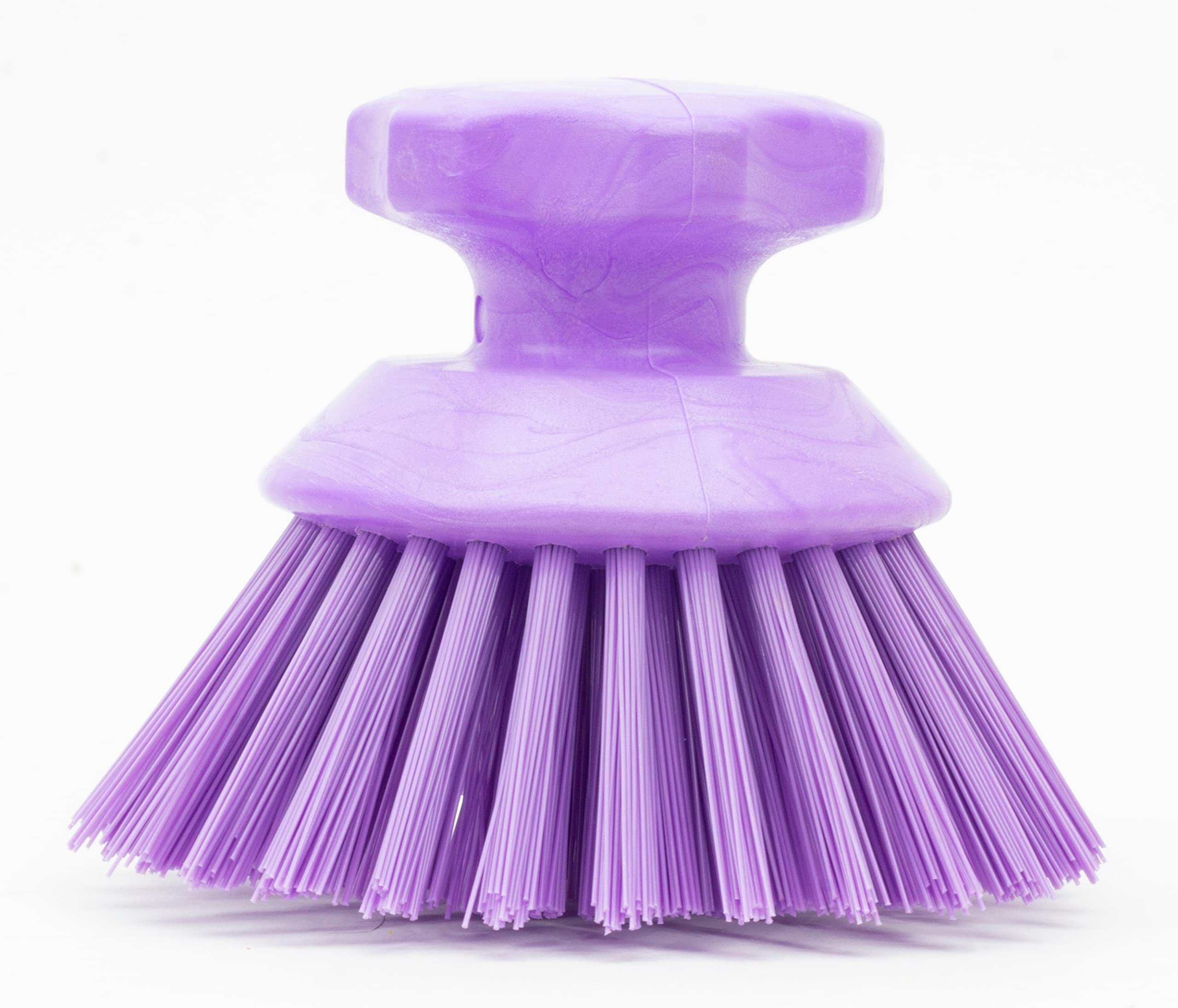 SPARTA 42395EC68 Plastic Scrubber Brush, Round Brush, Dish Scrub Brush With Color Coded For Cleaning, Kitchen, Bathroom, Bathtub, Dishes, Sink, 5 X 5 X 4 Inches, Purple