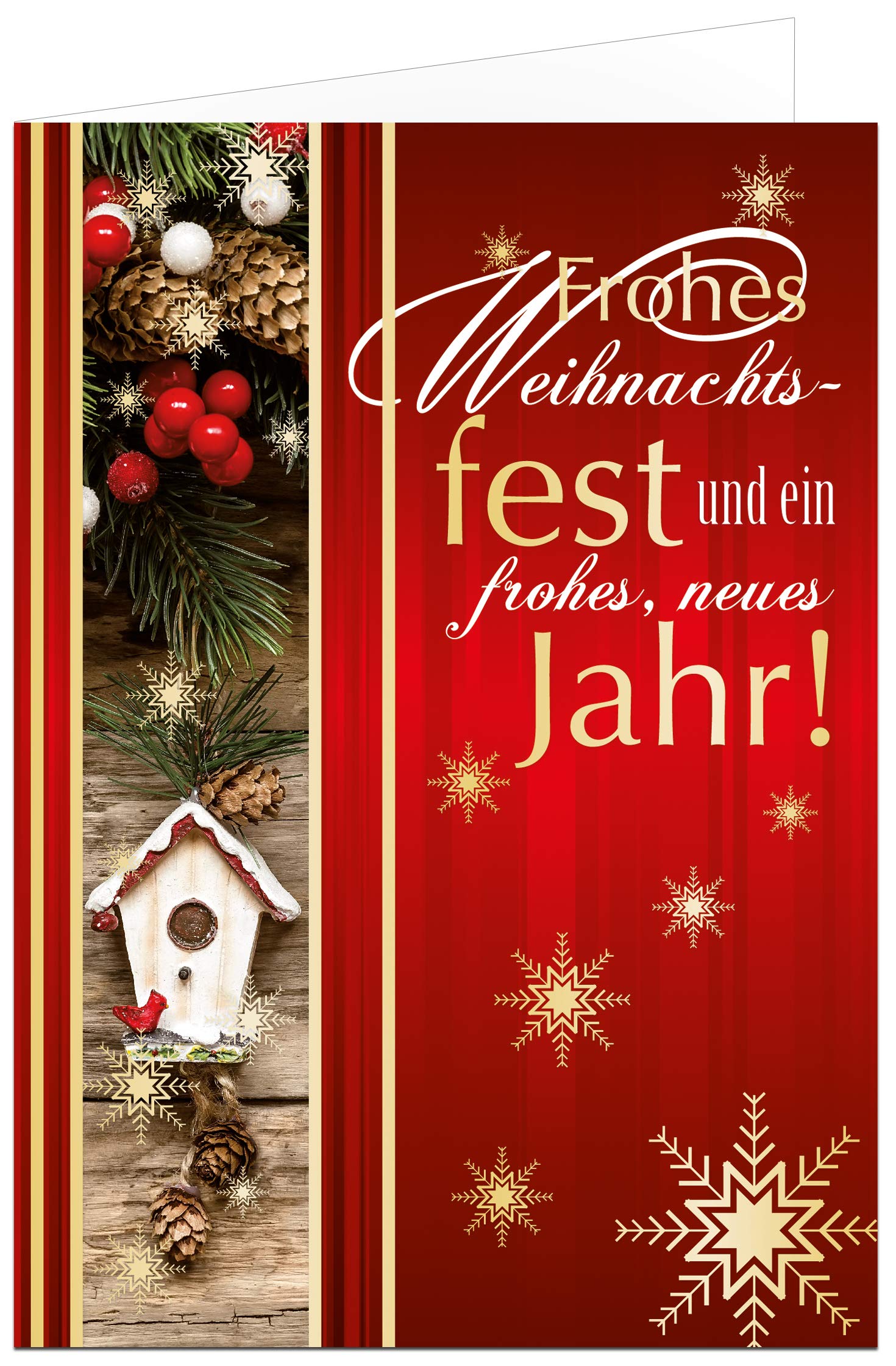 paperSky Weihnachtskarten Set 5 x 20 Motive, 100 exklusive Klappkarten mit Umschlag