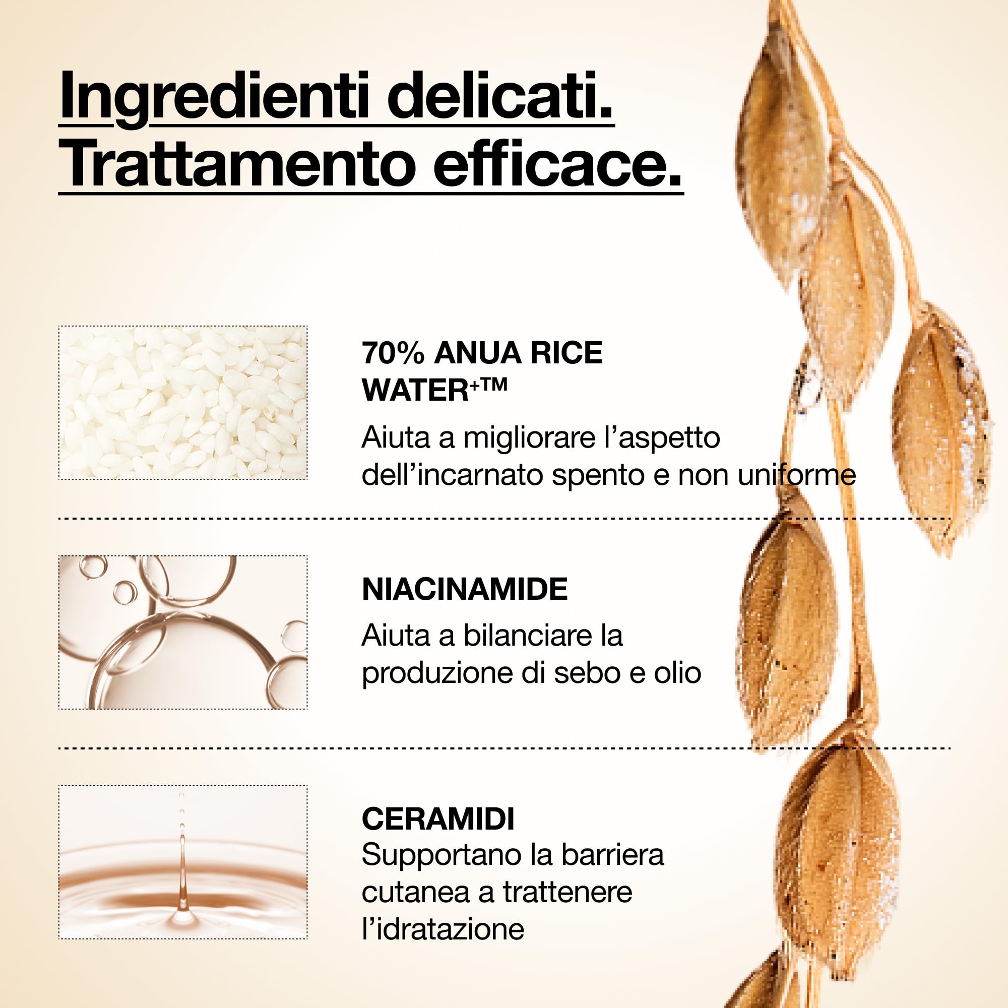 Anua Rice 70 Glow Milky Toner – Tonico Viso Idratante e Illuminante Coreano, con Acqua di Riso 70%, Niacinamide, Ceramidi e Pantenolo, Tonico Lattiginoso per Pelle Sensibile, Non Comedogenico (250ml)