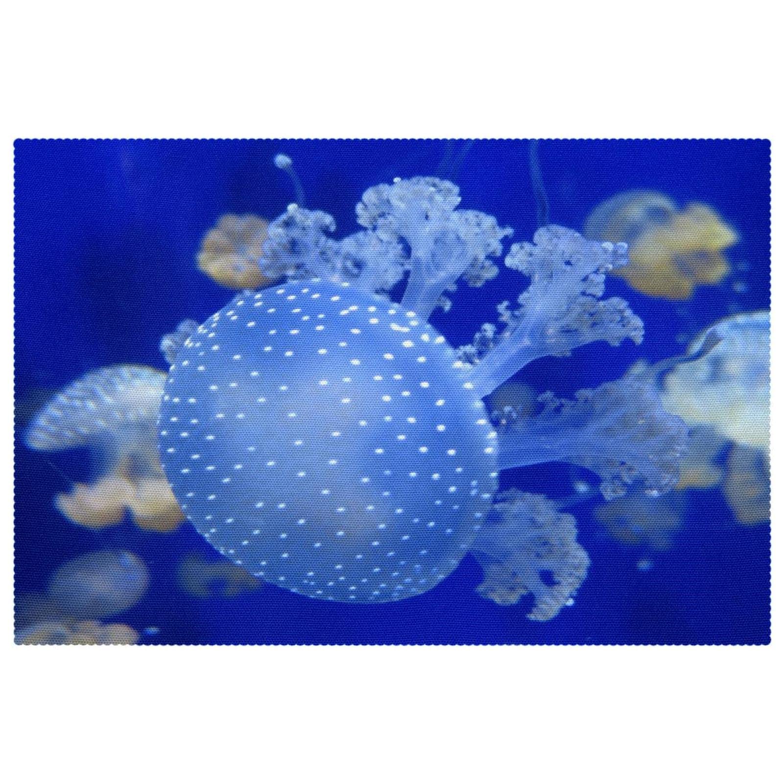 Set de table bleu translucide thermorésistant et lavable d'entretien facile