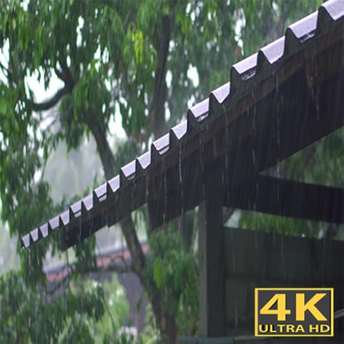 RAIN SCREENSAVER NO ADS