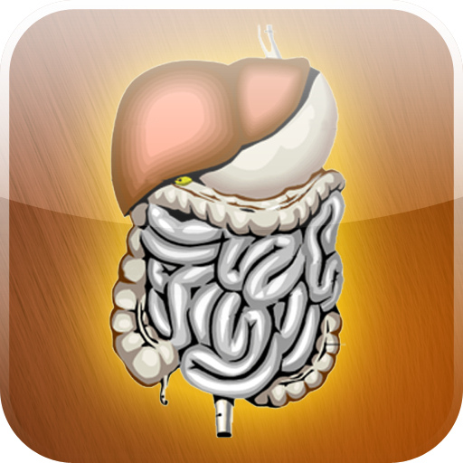 Human Digestive System - App on Amazon Appstore