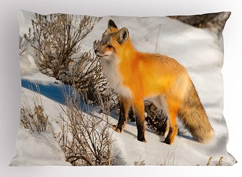 Miniatura 6 de Ambesonne Funda de almohada gris, lunares pequeños sobre fondo blanco, estilo retro, patrón tradicional pastel, funda de almohada decorativa de