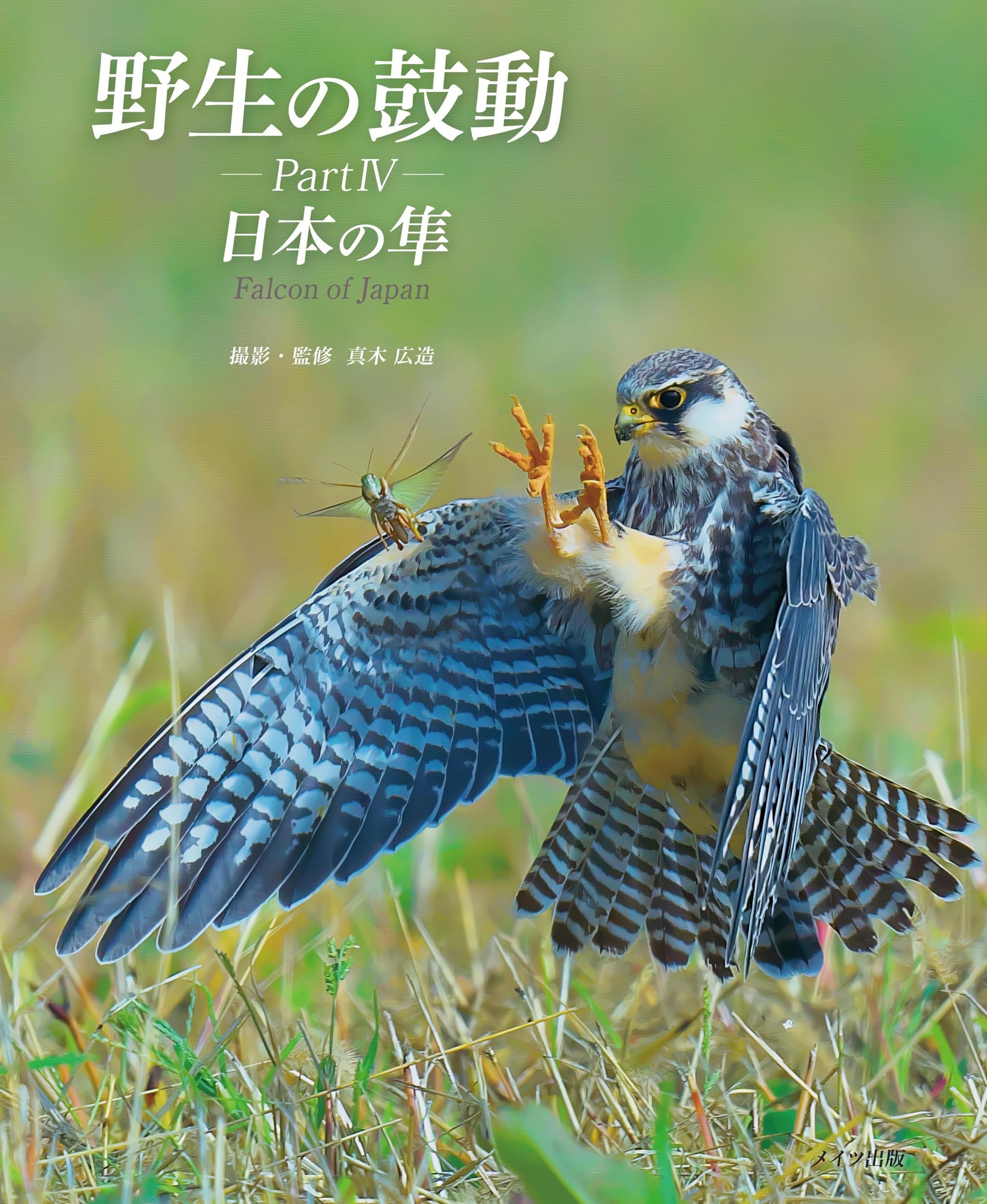 野生の鼓動 PartIV 日本の隼 | 真木 広造 |本 | 通販 | Amazon