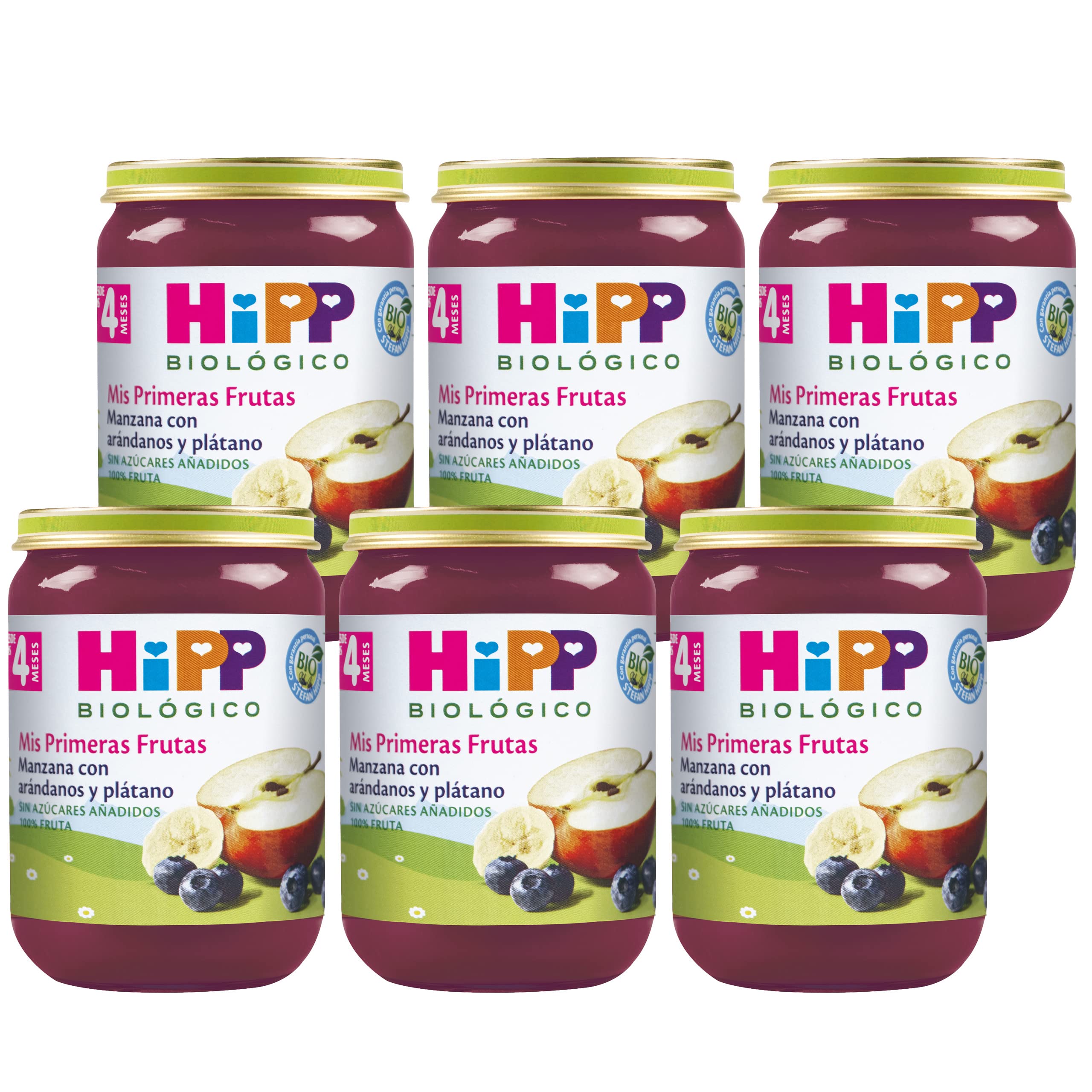 HiPP Biológico Papilla Mis Primeras Frutas Manzana con Arándano y Plátano BIO Pack 6x190g Sin Gluten Lactosa Azúcares Añadidos Apto 4 Meses
