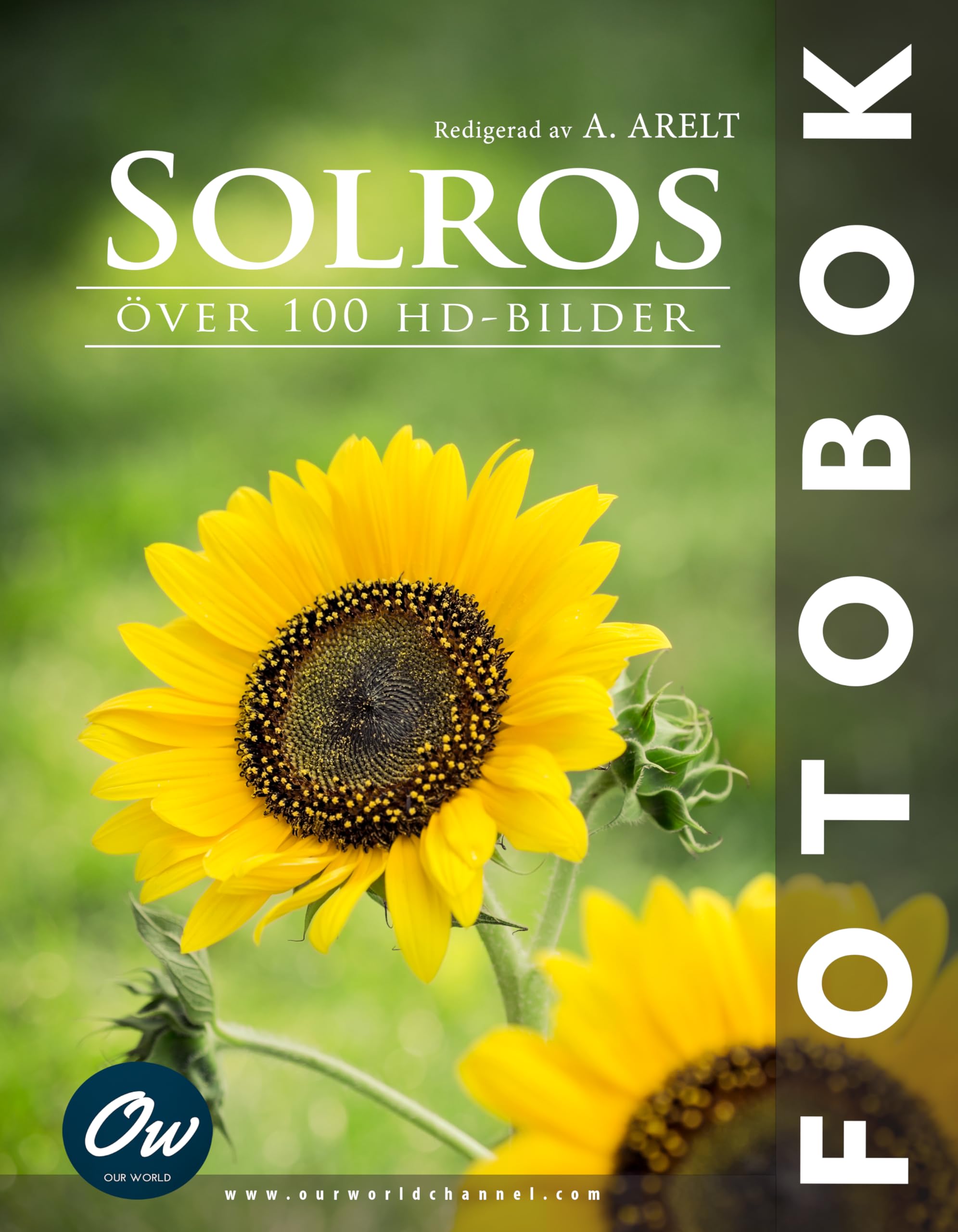Livre Solros de tournesols HD pour instaurer une ambiance relaxante au salon