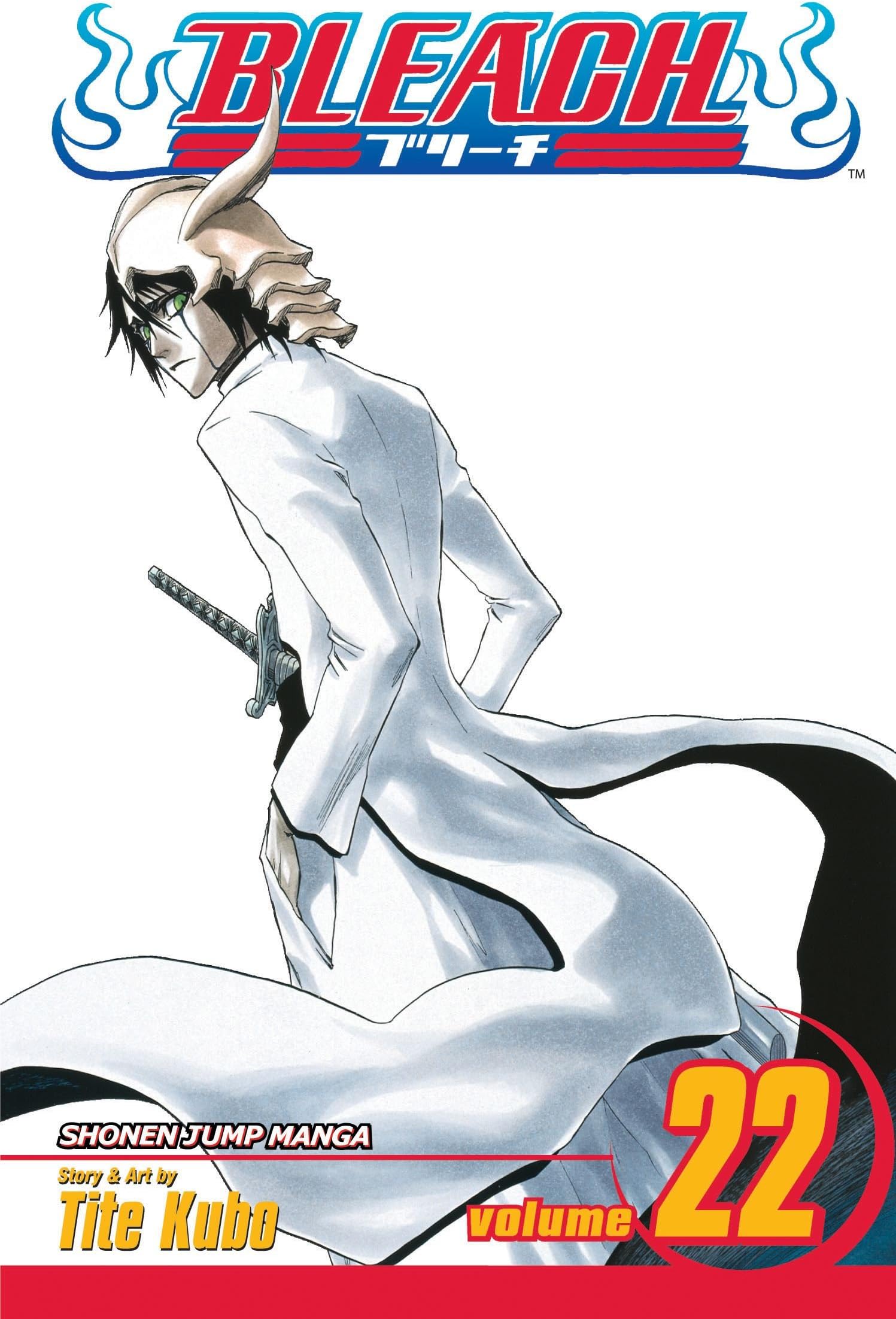 Bleach, Vol. 22