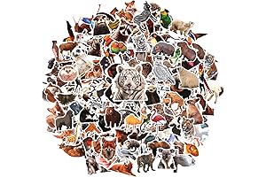 200 Count of Waterproof, Realistic Jungle Animal Stickers: Colorful Safari Party Supplies
