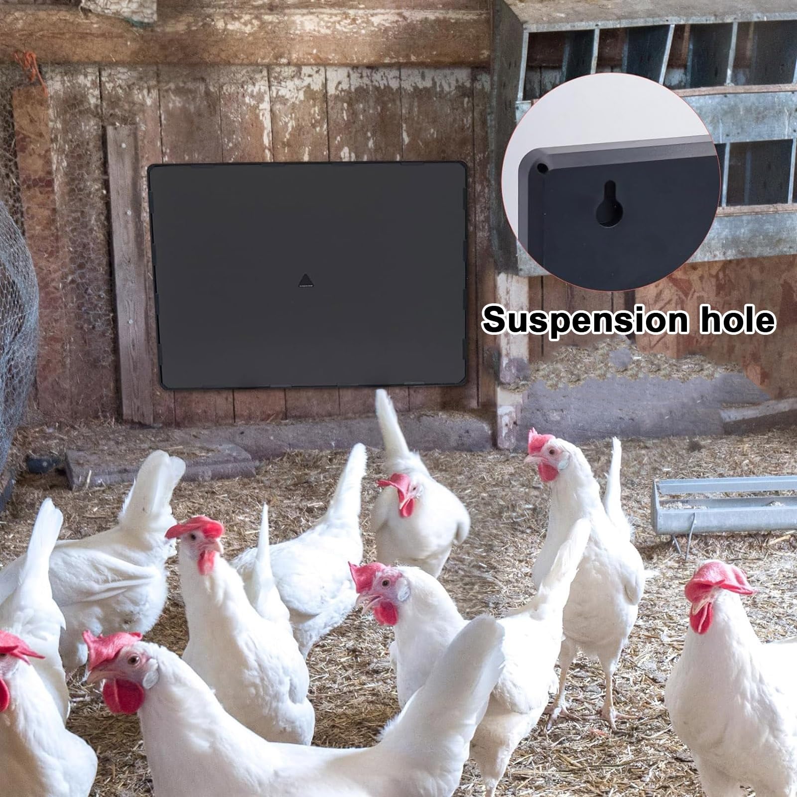 Calentador para Gallinero, 160W, Temperatura Ajustable, Más Seguro y Más Eficiente - Seguro para Pollitos, Veterinarios de Aves de Corral y Mascotas (15 x 11 Pulgadas)