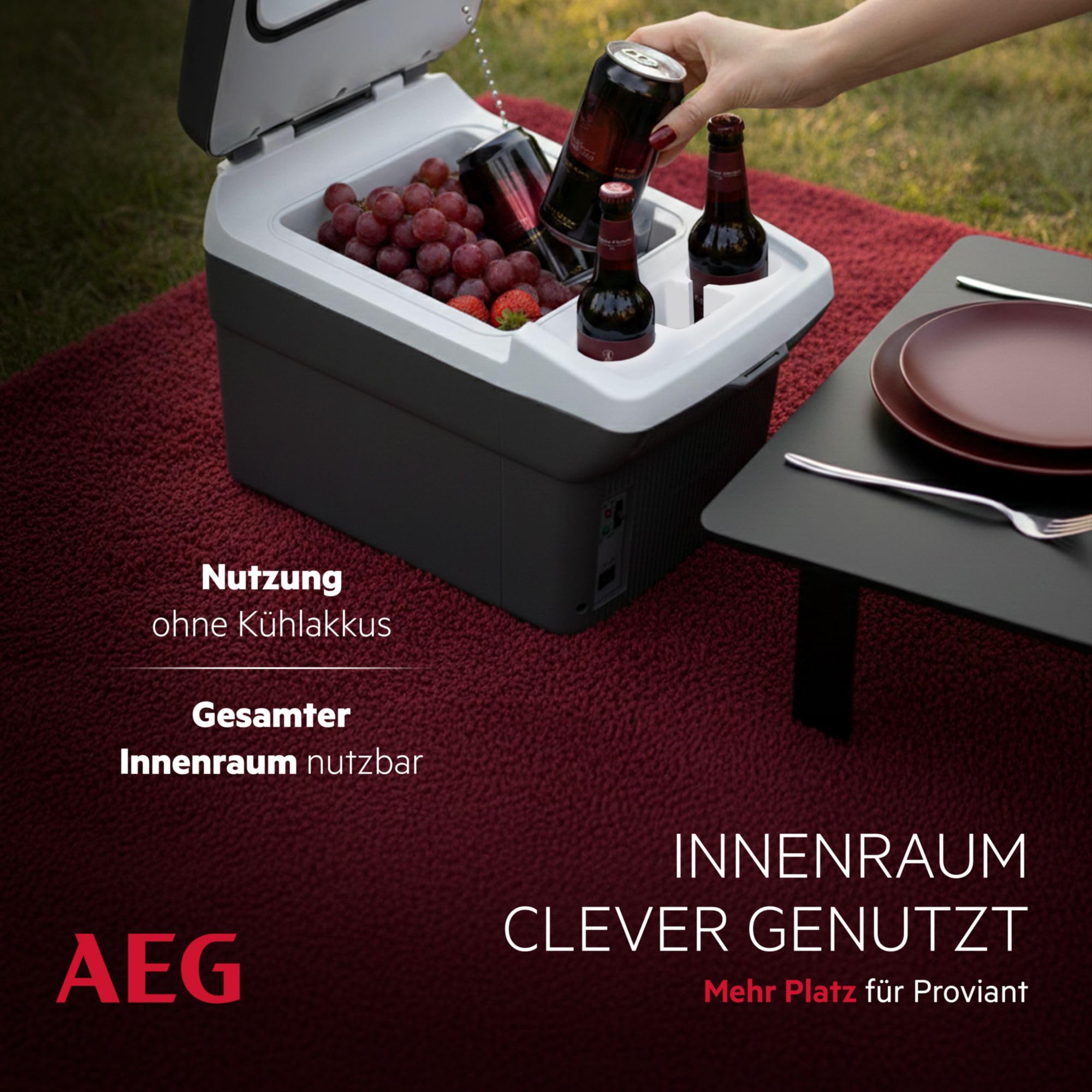 AEG Automotive Board-Bar BK 16 Thermoelektrische Kühl- und Warmhaltebox 16 Liter, 12 Volt für Auto und Steckdose, anschnallbar im PKW, Schwarz,hellgrau