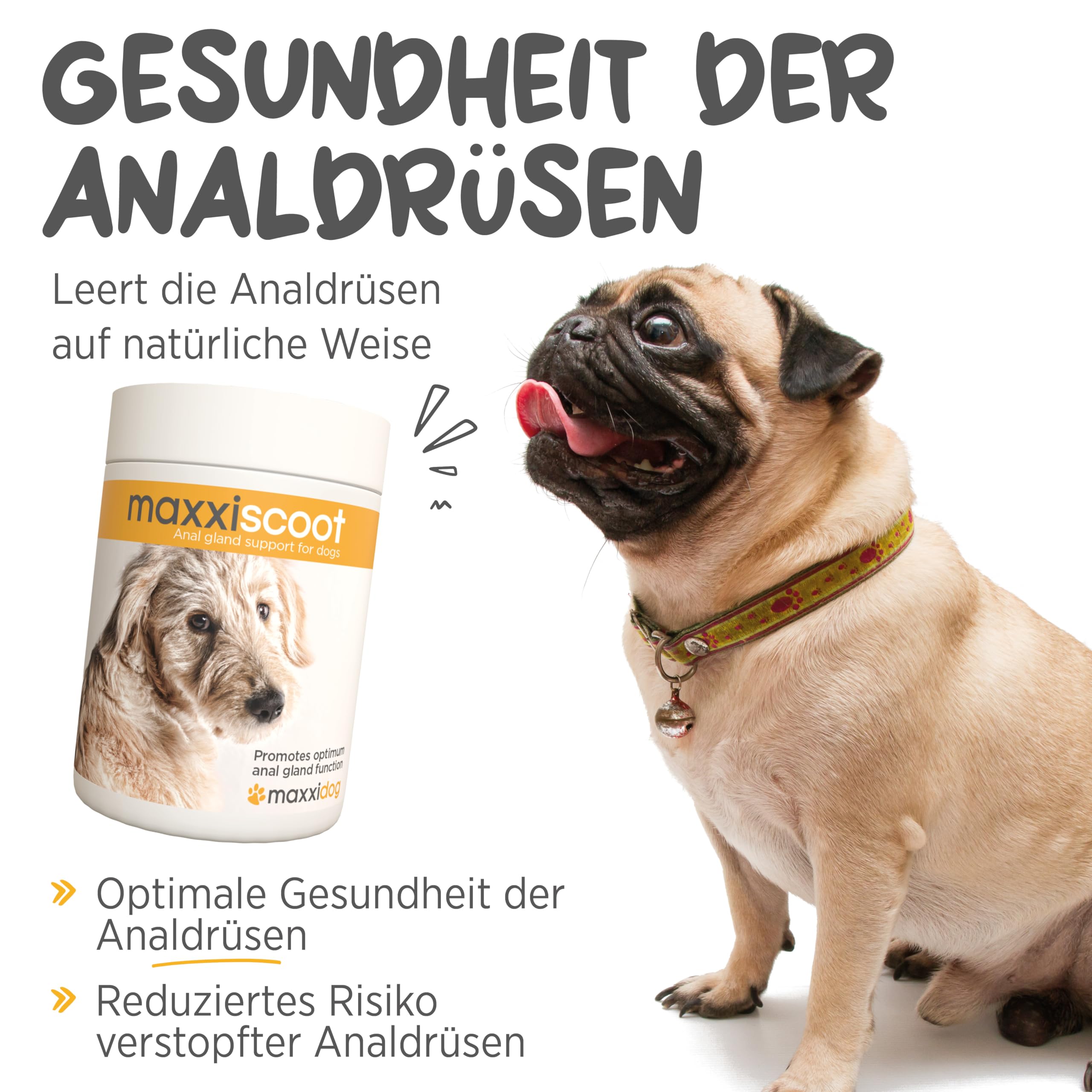 maxxipaws maxxiscoot Analdrüse & Darmgesundheit für Hunde - Nahrungsergänzungsmittel in Pulverform, 140g