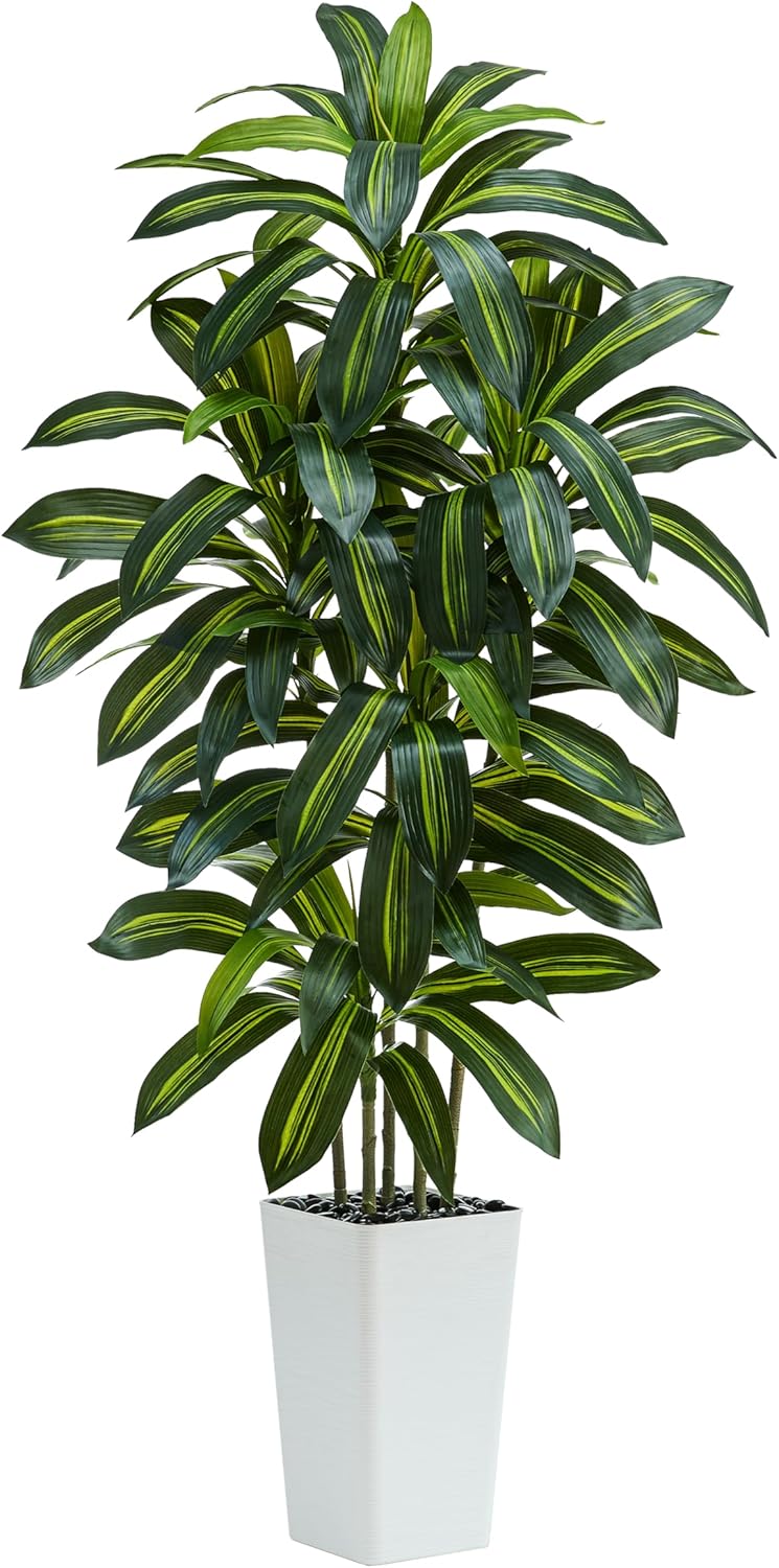 Artificial Dracaena Tree:6FT Faux Silk Tropical Yucca Floor Trees Realistic Fake Green Plant with Natural Wood Trunk & Lifelike Leaves for Home Office Decor Indoor & Outdoor (6FT,1-Pack,White) Artificial Dracaena Tree:6FT Faux Silk Tropical Yucca Floor Trees Realistic Fake Green Plant with Natural Wood Trunk & Lifelike Leaves for Home Office Decor Indoor & Outdoor (6FT,1-Pack,White)
