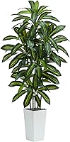 TNGGNT 6FT Artificial Dracaena Tree - Realistic Faux Silk Yucca Plant with Wood Trunk & Lifelike Leaves for Indoor Outdoor Home Office Decor (White Pot)