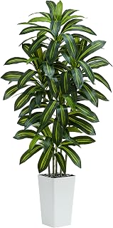TNGGNT 6FT Artificial Dracaena Tree - Realistic Faux Silk Yucca Plant with Wood Trunk & Lifelike Leaves for Indoor Outdoor Home Office Decor (White Pot)