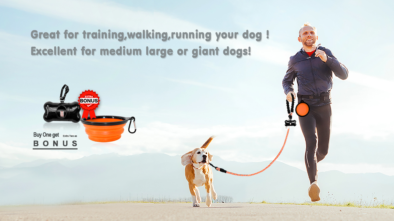 BARKBAY Dog leashes for Large Dogs Rope Leash Heavy Duty Dog Leash with Comfortable Padded Handle and Highly Reflective… - Image 8