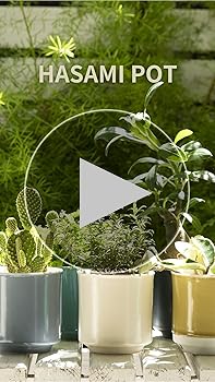 隼木谷　清右ヱ門　蓋物　陶箱　1点　深鉢　植木鉢カバー　 1点 61b6GfkMT1L._UF350,350_QL80_.jpg