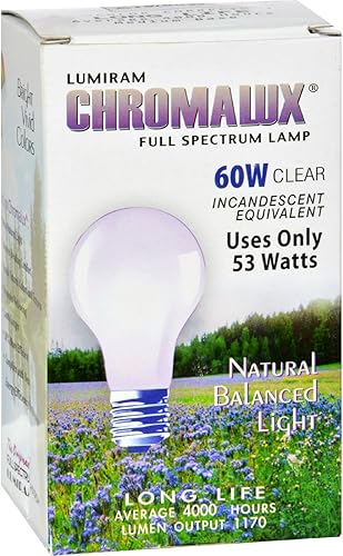 Oxylife Productos OxyLife 5Th Gear 30 Cap2