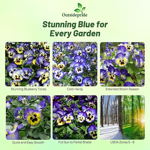 Miniatura 2 de Outsidepride Pansy Blueberry Thrill - Planta de interior o jardín al aire libre para camas, macetas y recipientes, 50 semillas