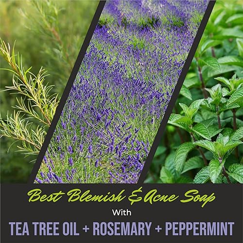 Miniatura 5 de First Botany, ALL Natural Body Wash - Fights Body Odor, Athlete's Foot, Jock Itch, Nail Issues, Dandruff, Acne, Eczema, Shower Gel for Women & Men