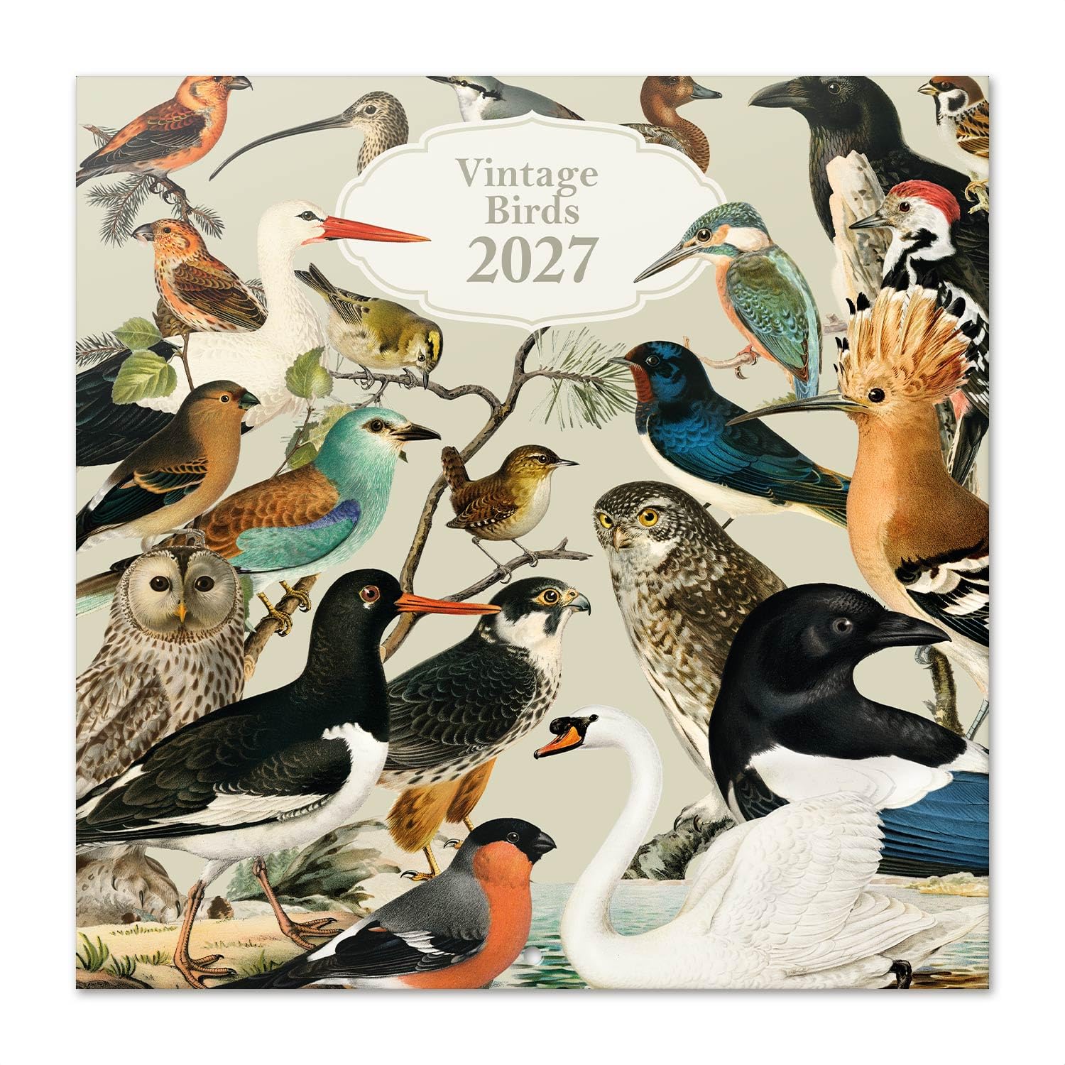 Grupo Erik Vintage Birds 2027 Wall Calendar, Birds Calendar — image 1