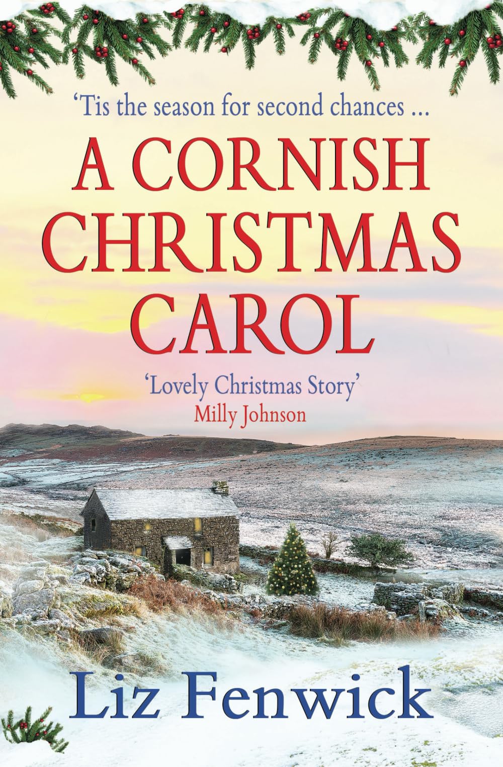 A Cornish Christmas Carol: A festive Novella