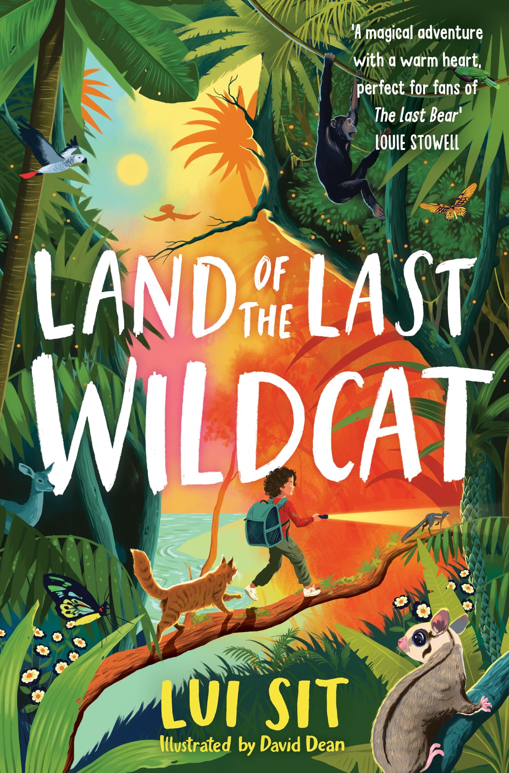 Land of the Last Wildcat: The animal adventure hit of the year - Shortlisted for the Children's Wainwright Prize!: 1 (The Wildcat Series, 1)