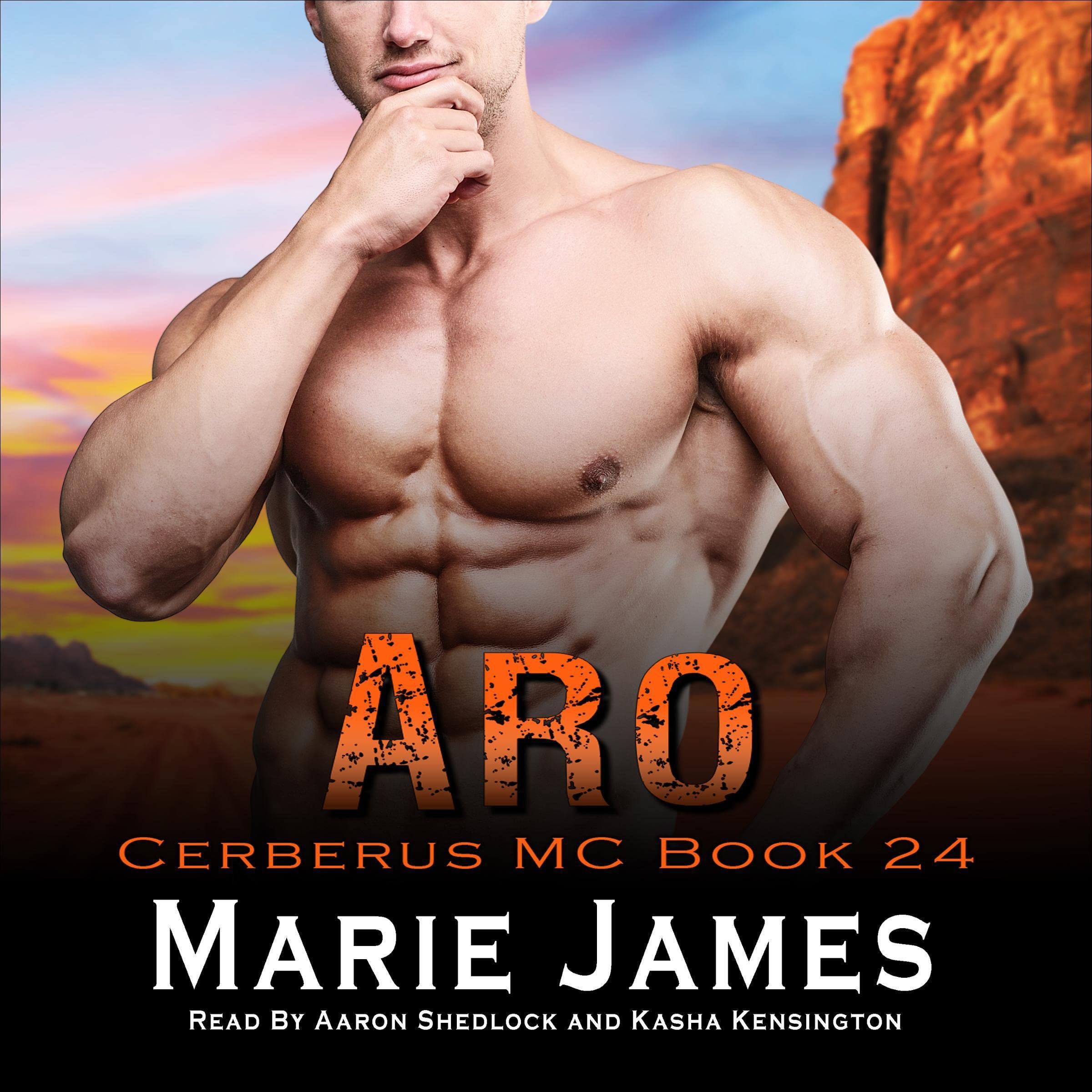 Cover art for Aro