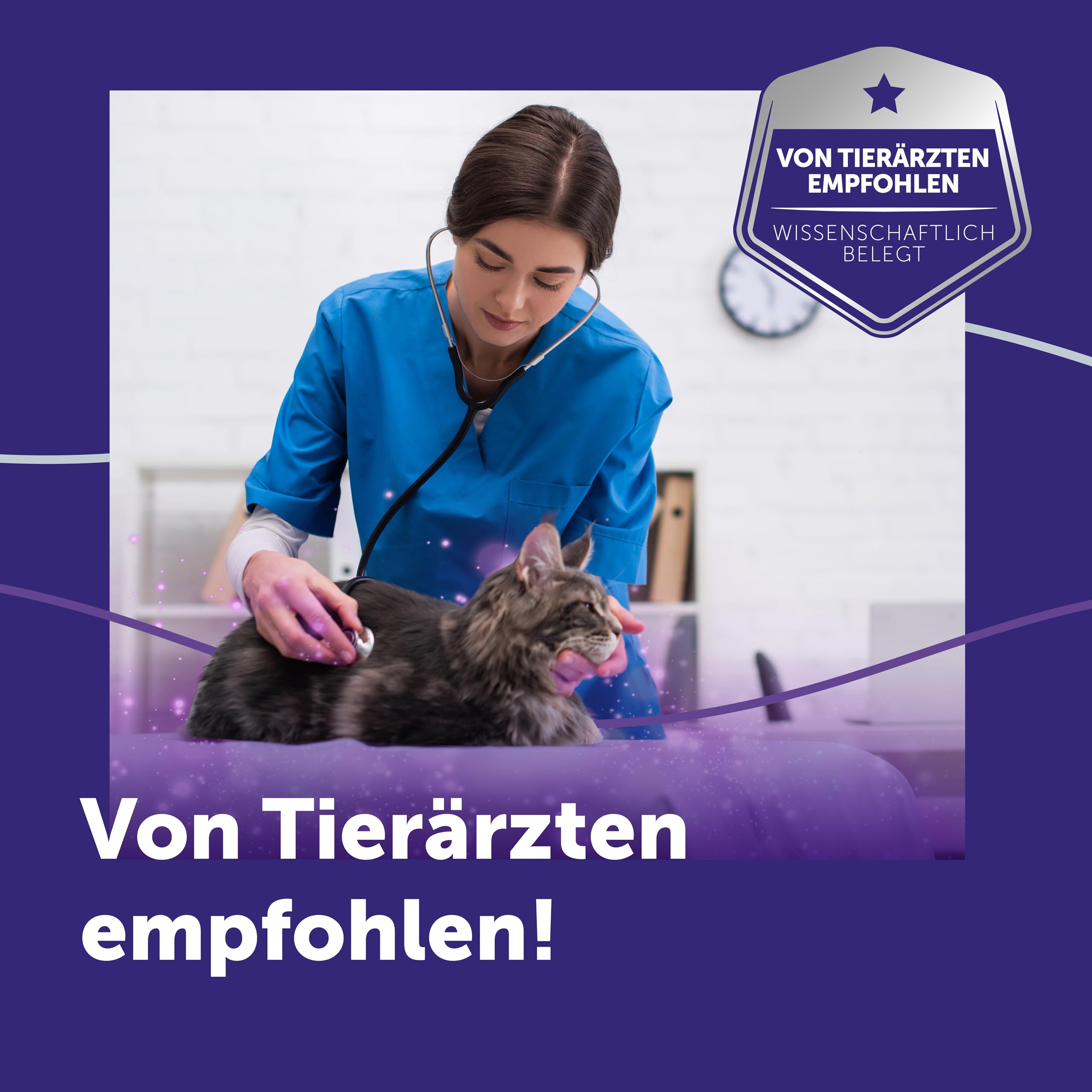 FELIWAY Optimum Start-Set | Pheromone für Katzen | Verdampfer für die Steckdose + 48ml Flakon | Diffuser gegen Stress, für mehr Harmonie | 30 Tage Wirkung | von Tierärzten empfohlen, klinisch getestet