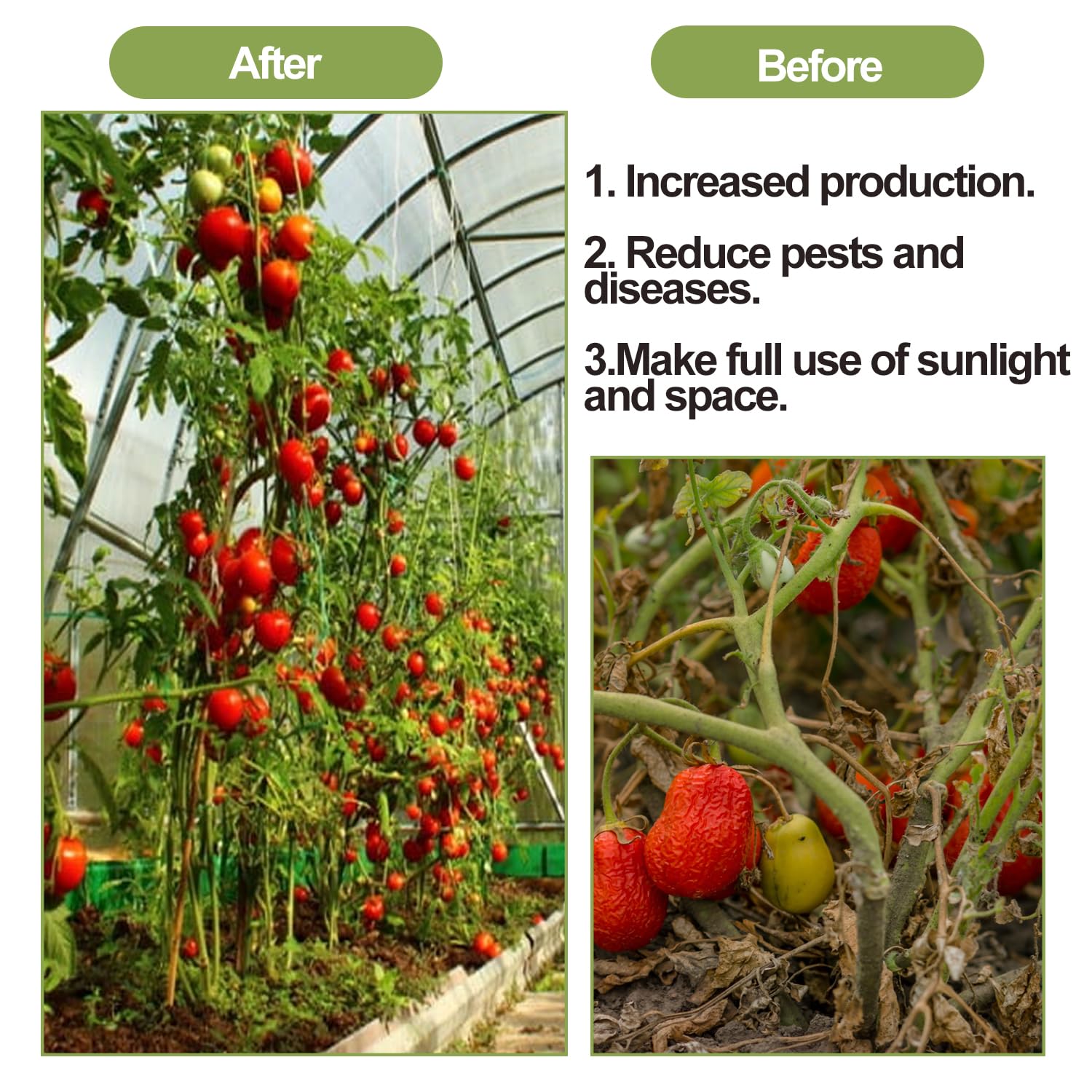 Paquete de 40 ganchos de rodillo de tomate con cuerda de 49.2 pies, kit de enrejado de invernadero para tomate, planta, invernadero, enredadera de flores, kit de enrejado para plantas