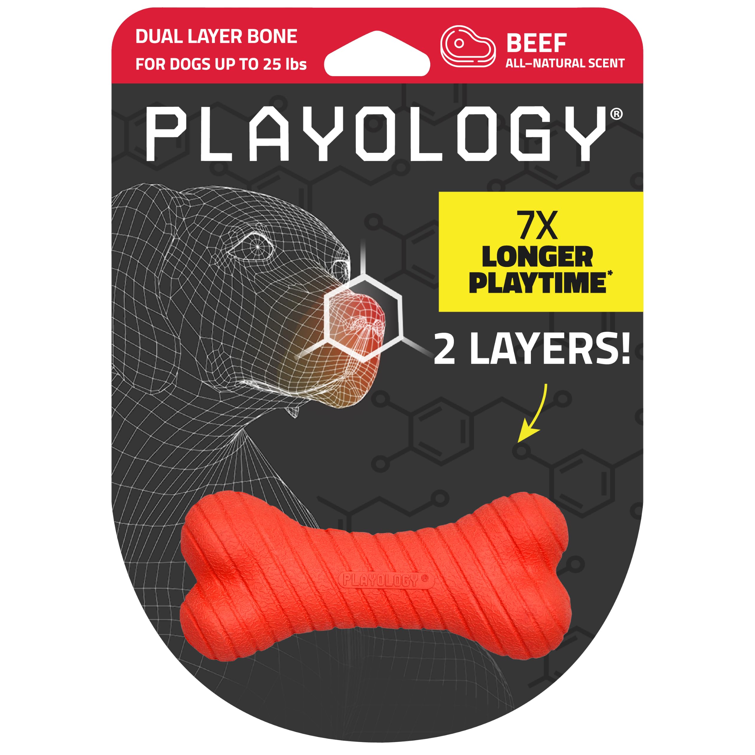 Playology Dual Layer Bone Dog Chew Toy - Small, Beef Scent