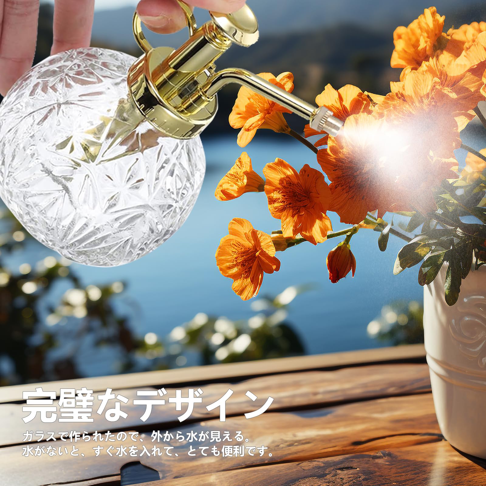 Amazon.co.jp: LanQii 霧吹き じょうろ 240ミリリットル ガラス 植物