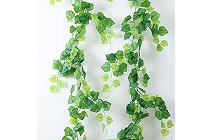 2 Strands Lifelike Green Grapevines for Decoration