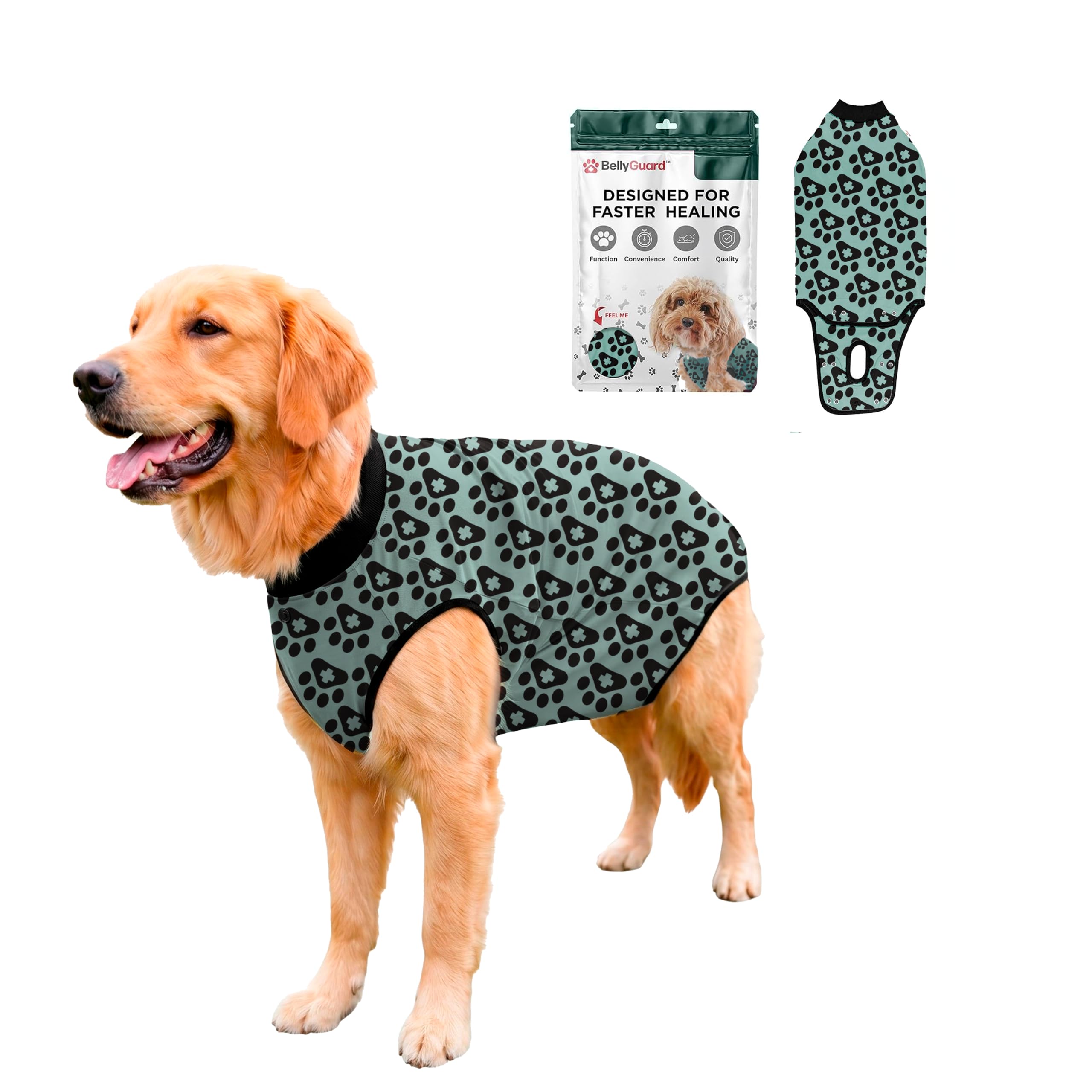 BellyGuard Dog Surgery Recovery Suit, Male Female After Spay Neuter Onesie
