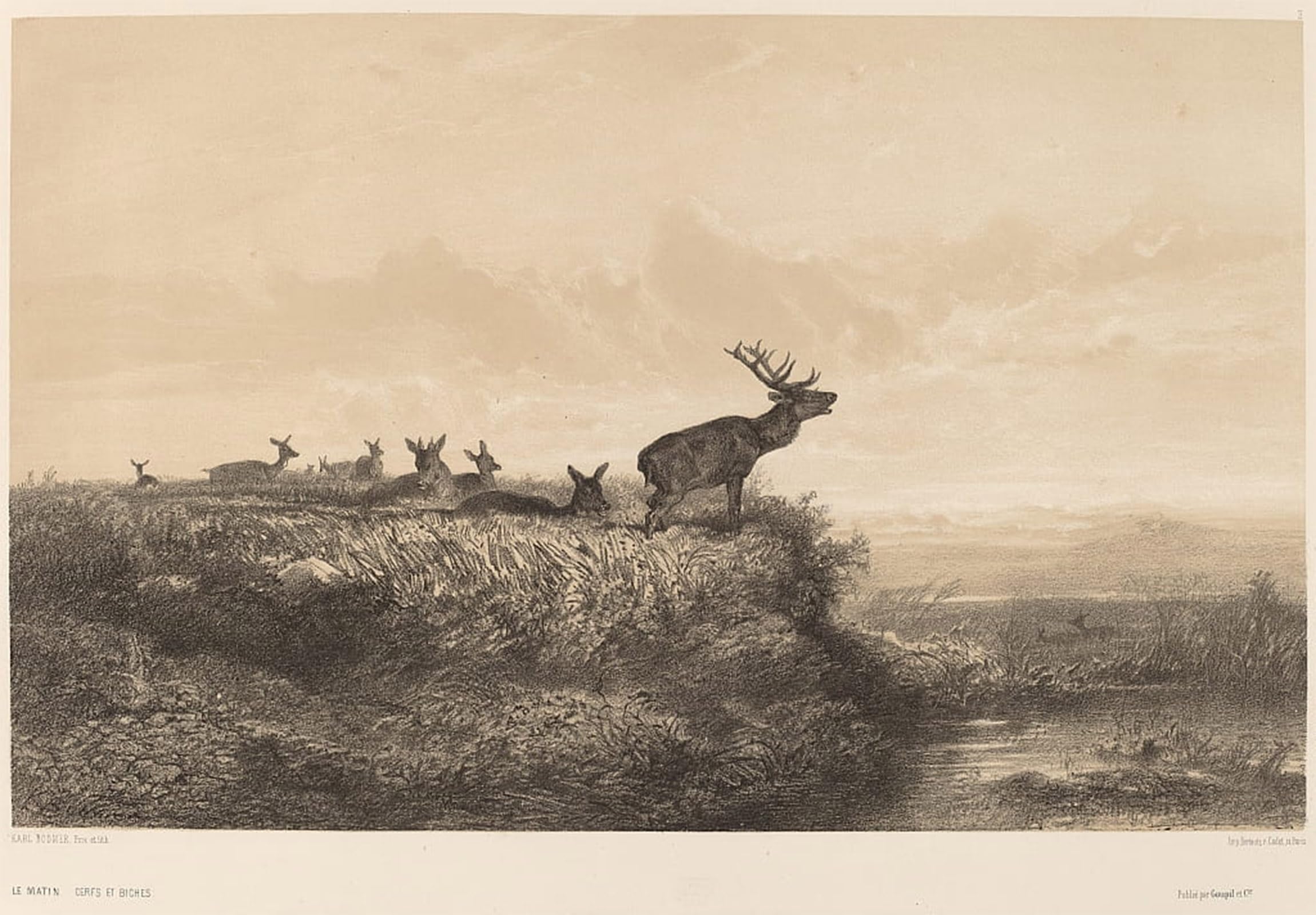 Tableaux Graffiti Art Mural Karl Bodmer pour sublimer la décoration murale du salon moderne - 5