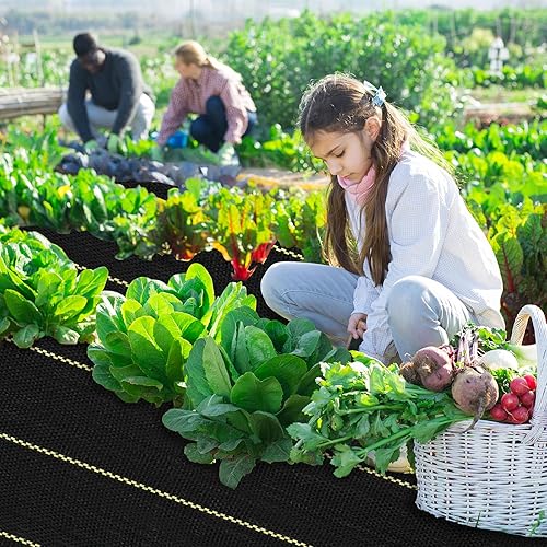 Miniatura 10 de Shade&Beyond Tela de barrera contra malezas de 4 x 300 pies, tela resistente de 3.5 onzas con permeabilidad superior, control de malas hierbas, tela