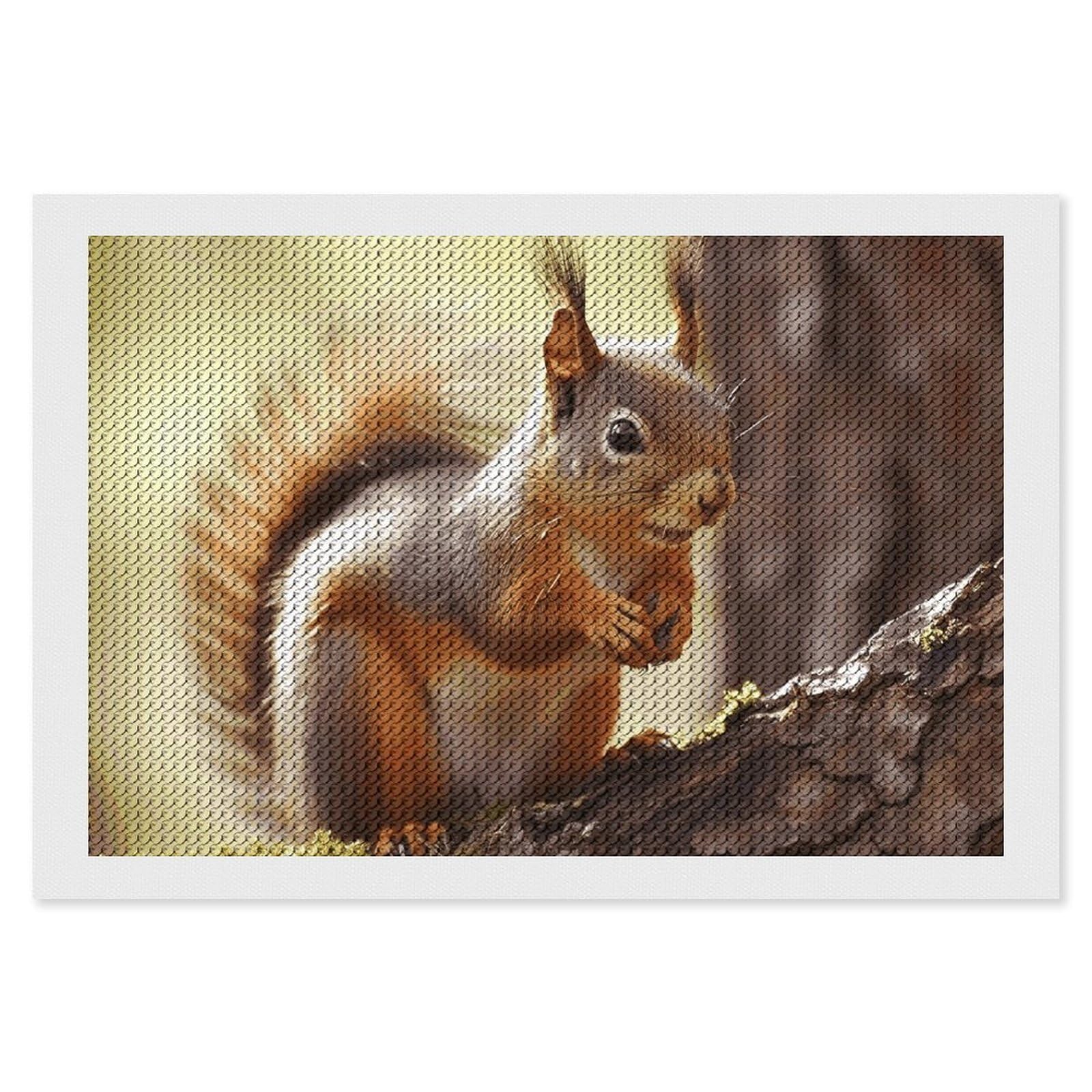 NONHAI Diamond Painting Kits for Adults - DIY Diamond Art Kits for Beginners - Full 5D Paint Drill Diamond Dots Paintings- Funny Squirrel Diamonds Pictures Gem Art and Craft Wall Decor 8"x12"