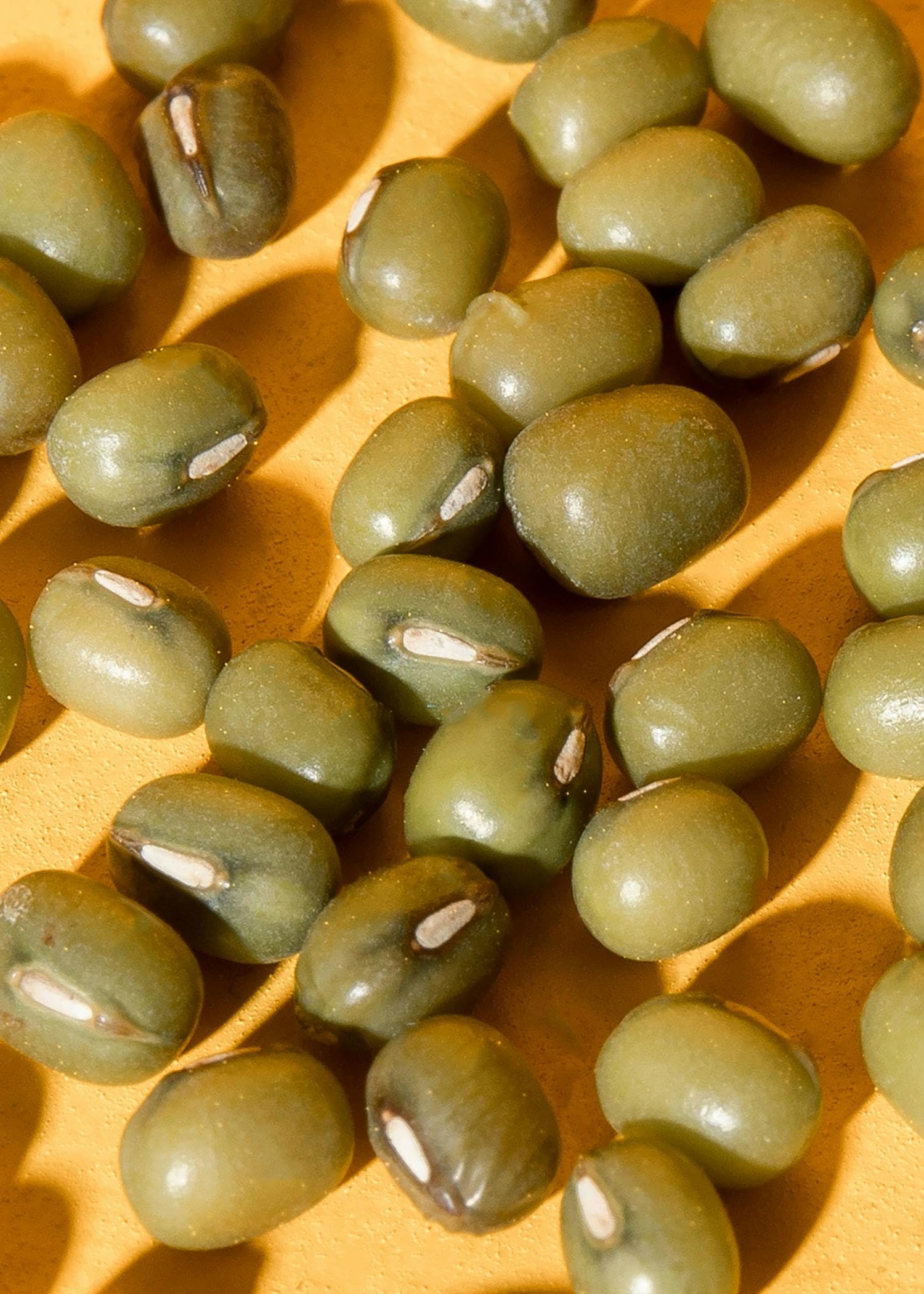 KoRo - Fagioli mung bio 2 kg - Legumi ricchi di proteine da coltivazione biologica in confezione risparmio