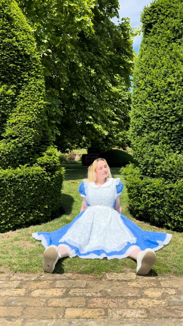 Amazon.com: Women's Alice Costume Elite Alice in Wonderland Adult