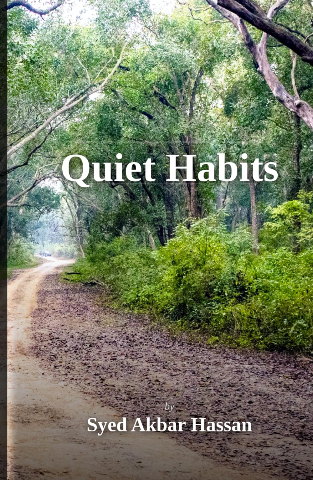 Quiet Habits: Stories of Ordinary Lives and Silent Transformations