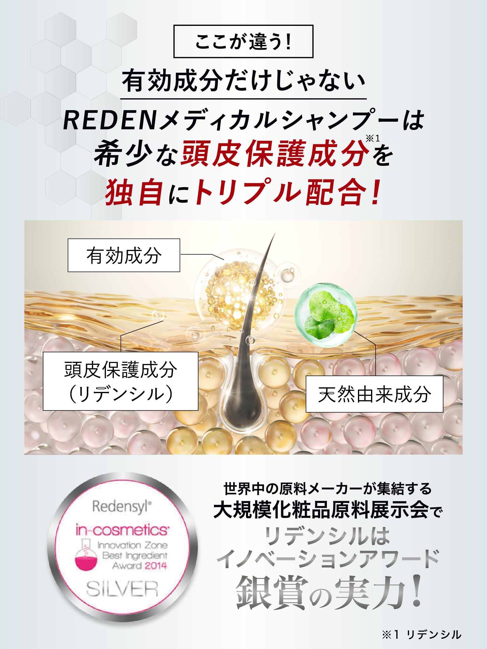Amazon | REDEN リデン メディカルシャンプー 3本セット【毛髪診断士