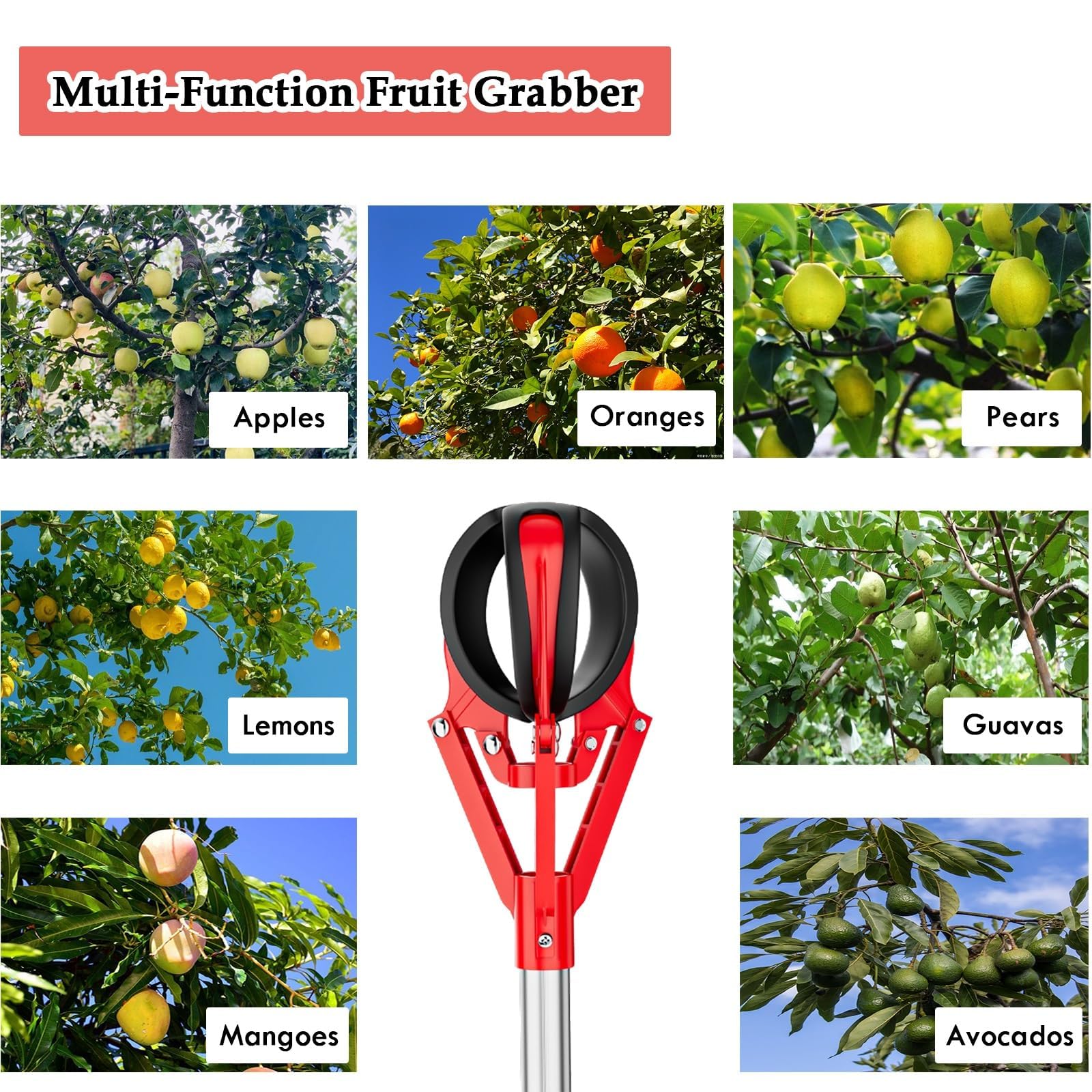 Raccoglitore telescopico per frutta con cestino, 1-1,5 m, regolabile, strumento di raccolta per mele, pere, avocado, limoni, arance, fichi, strumento per la raccolta del giardino