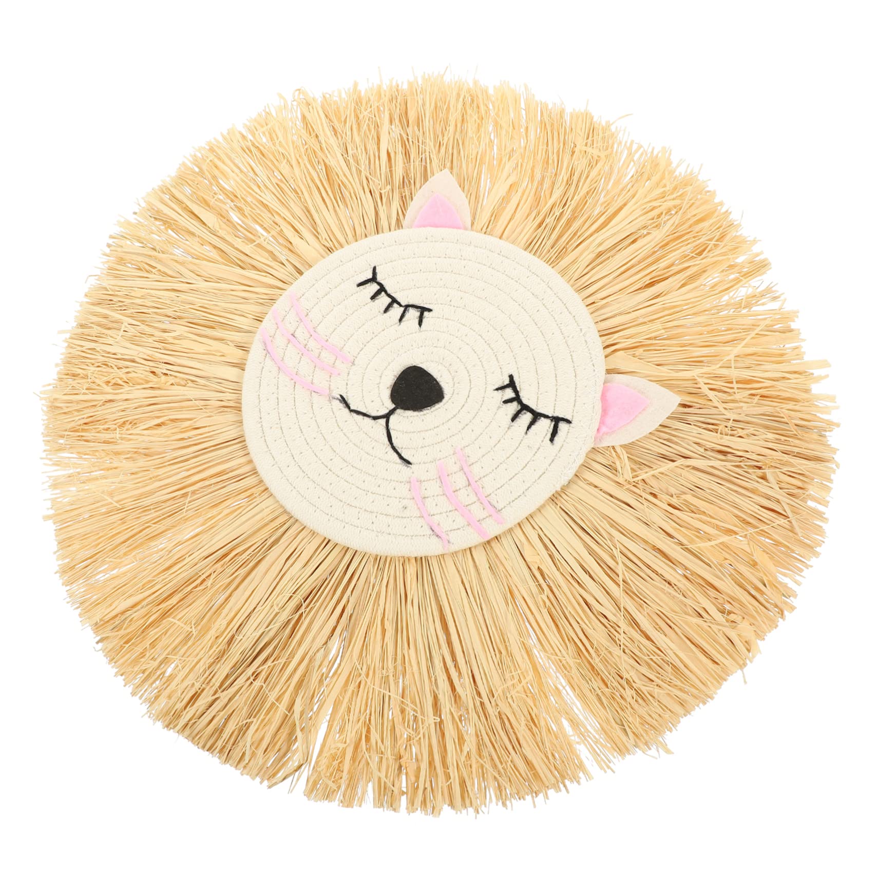 RORPOIR Wall Art Animal Head Woven Rope Cartoon Lion Pendant Cute Home Decor for Boys and Girls Rooms Nursery and Birthday Parties Soft and Wall Hanging Decoration