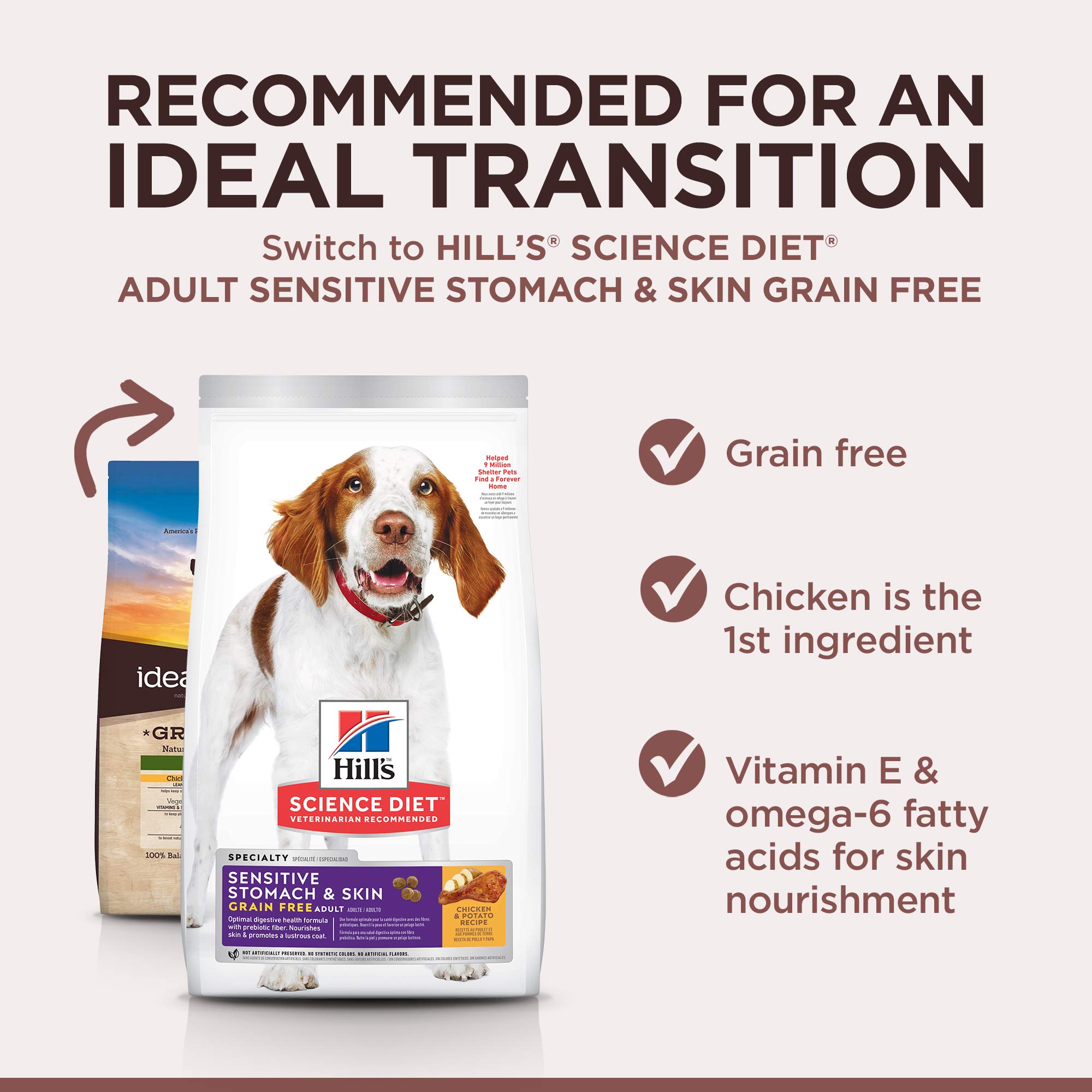Hills Ideal Balance Adult Grain Free Dog Food Natural Chicken