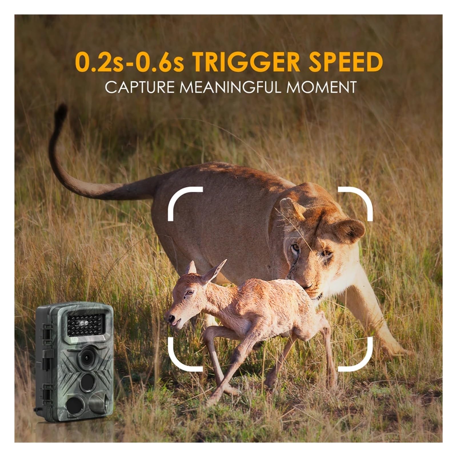 Cámara Vida Silvestre Cámara De Rastreo Multifunción For Exteriores, Monitor Observación Animales, Caza, 36MP, 1080P, Foto Nocturna, Vídeo Monitoreo Confiable Preciso