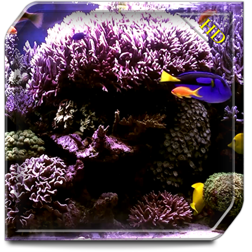 Aquarium Radiance HD - Wallpaper & Themes