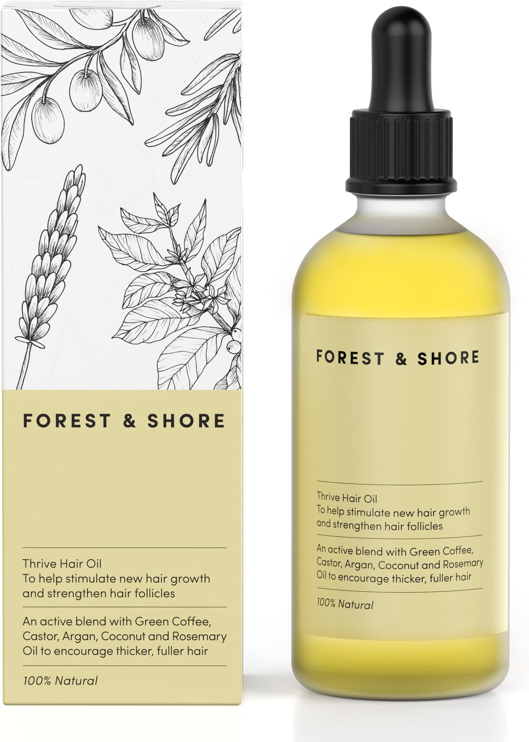 Serene Forest And Shore Hair Oil Picture for Desktop Serene Forest And Shore Hair Oil Picture for Desktop